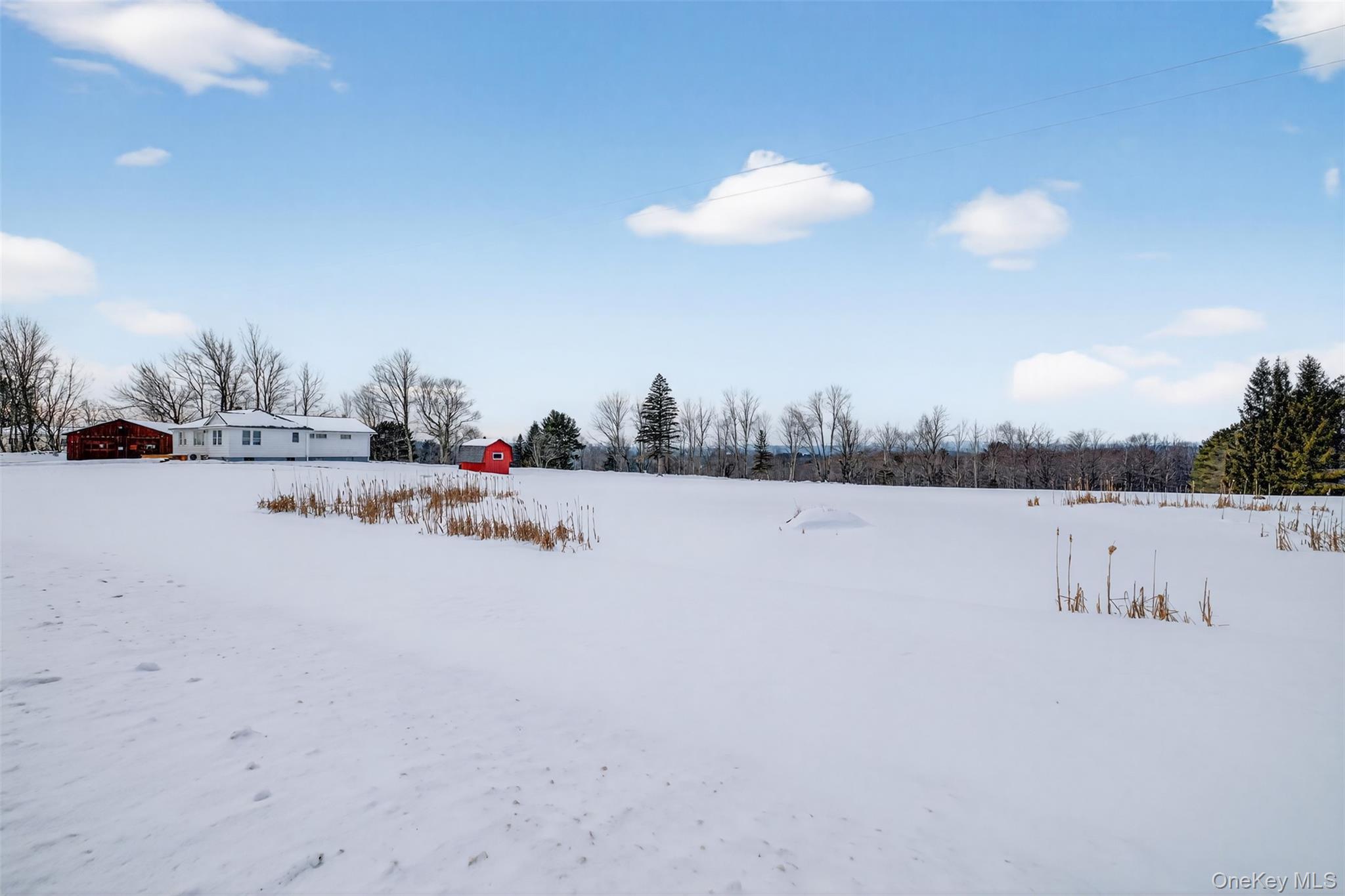 Single Family Rose  Sullivan County, NY 12788, MLS-948588-28