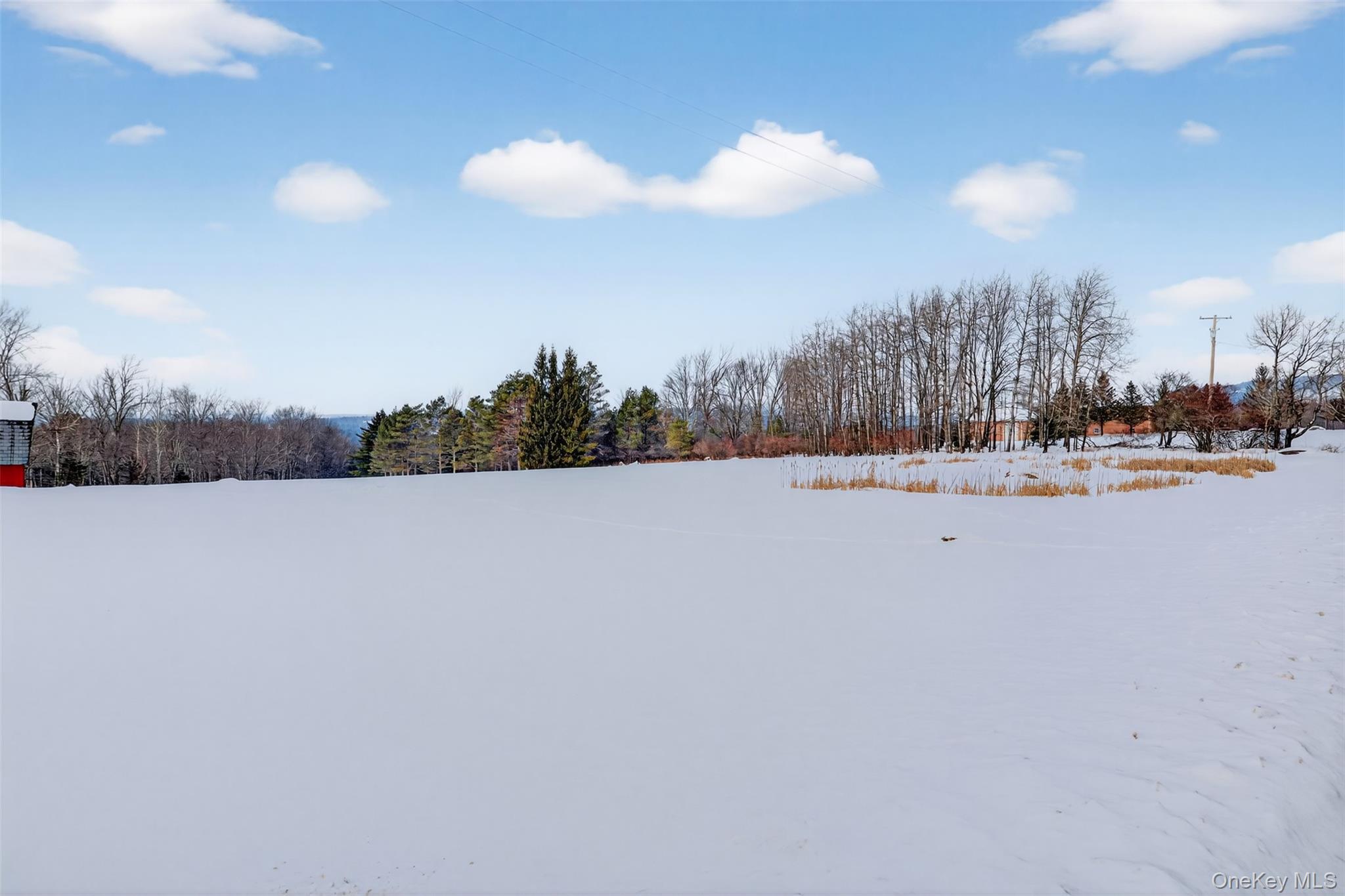 Single Family Rose  Sullivan County, NY 12788, MLS-948588-29