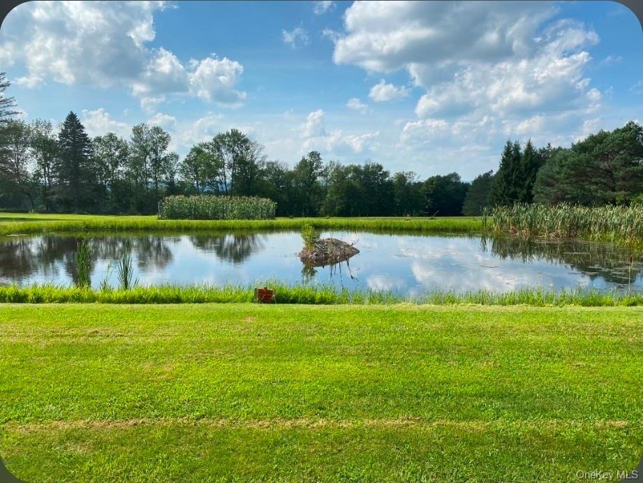 Single Family Rose  Sullivan County, NY 12788, MLS-948588-3