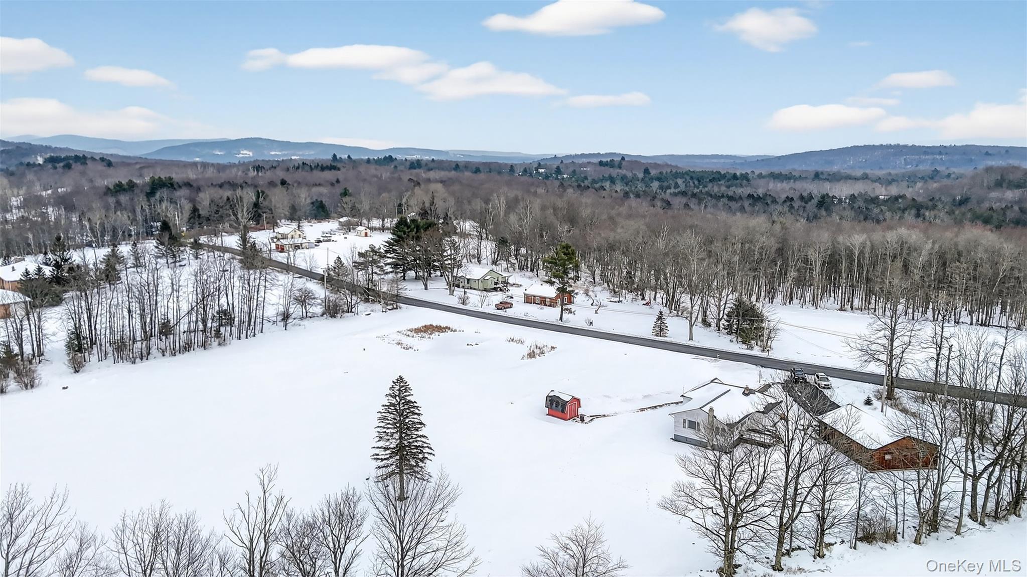 Single Family Rose  Sullivan County, NY 12788, MLS-948588-38