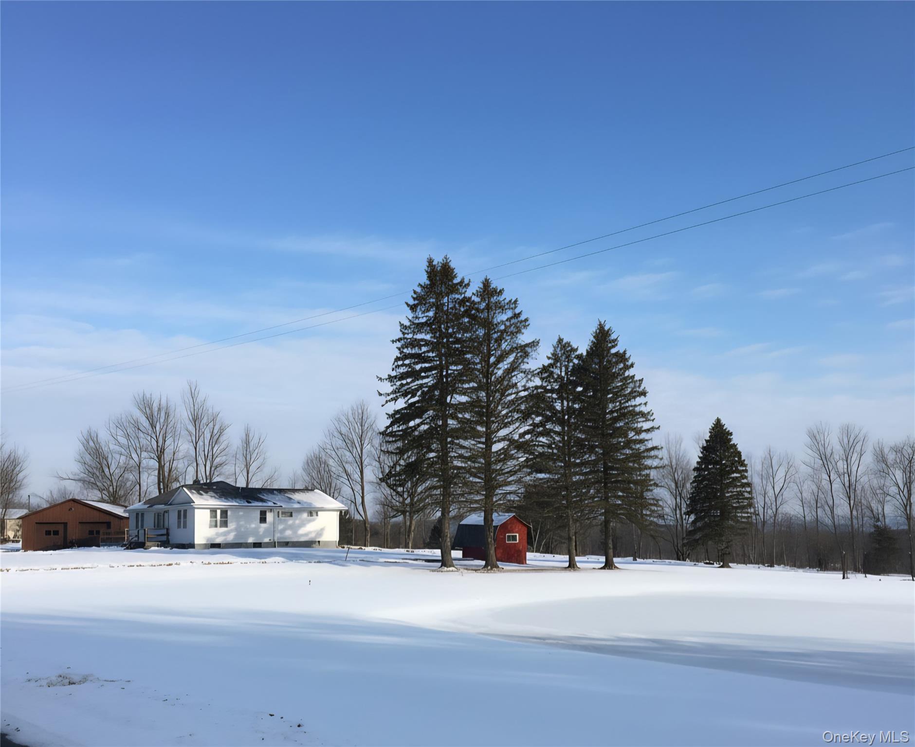 Single Family Rose  Sullivan County, NY 12788, MLS-948588-39