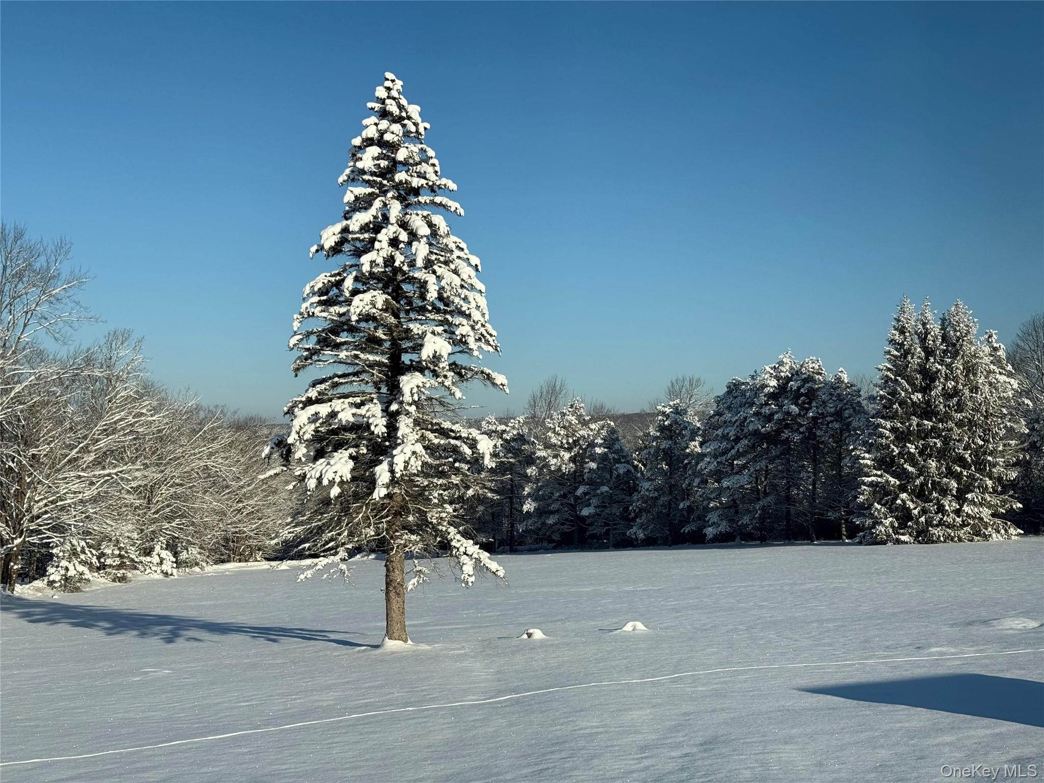 Single Family Rose  Sullivan County, NY 12788, MLS-948588-40