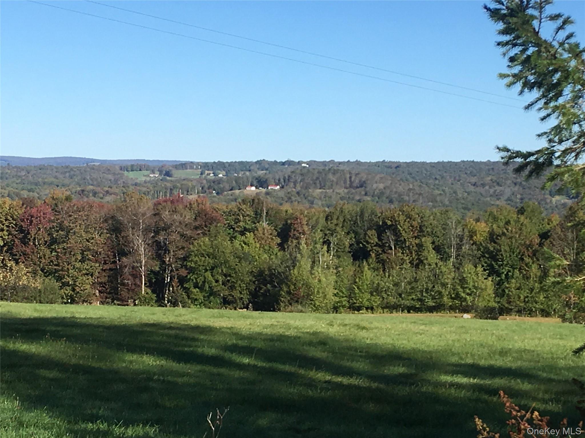 Single Family Rose  Sullivan County, NY 12788, MLS-948588-42