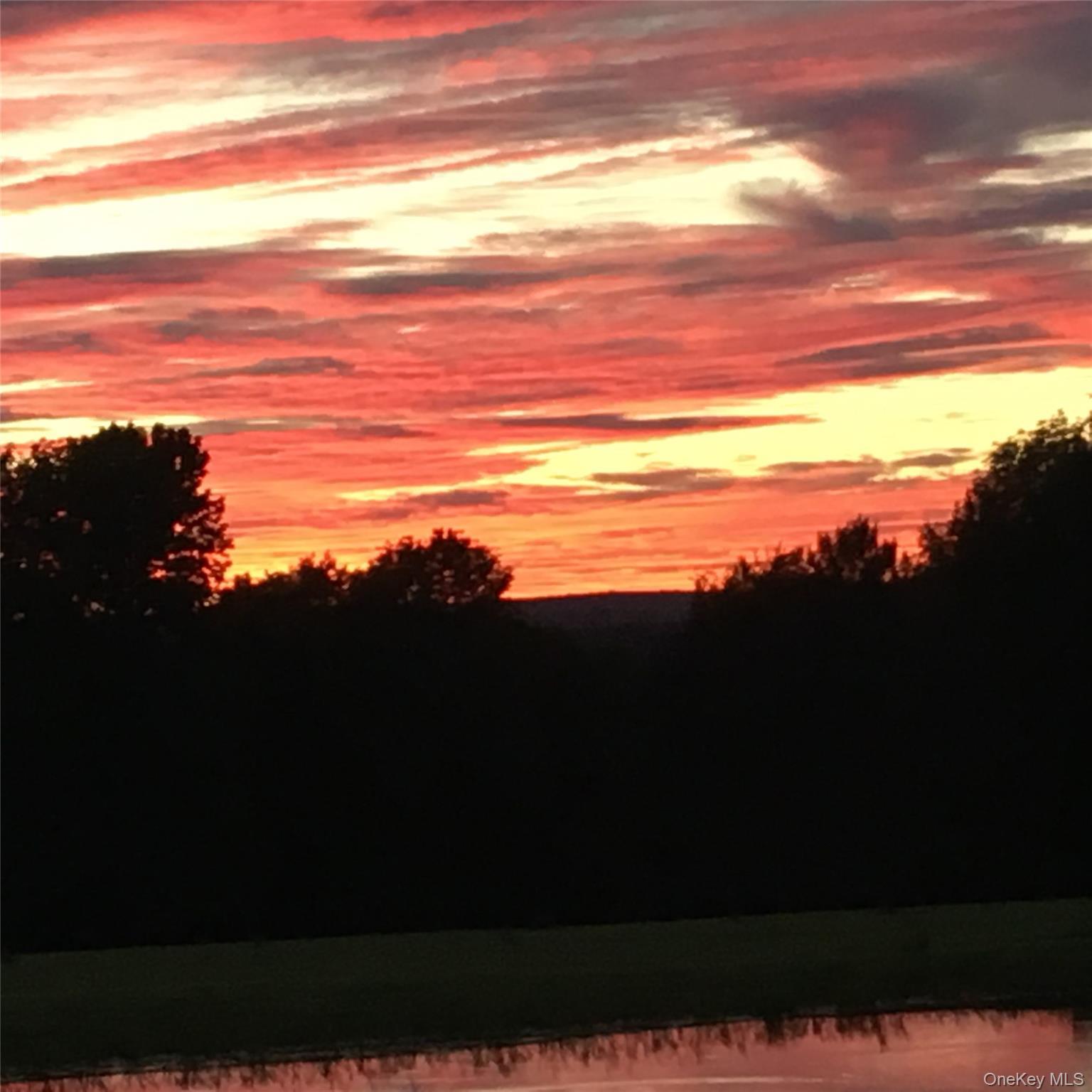 Single Family Rose  Sullivan County, NY 12788, MLS-948588-44