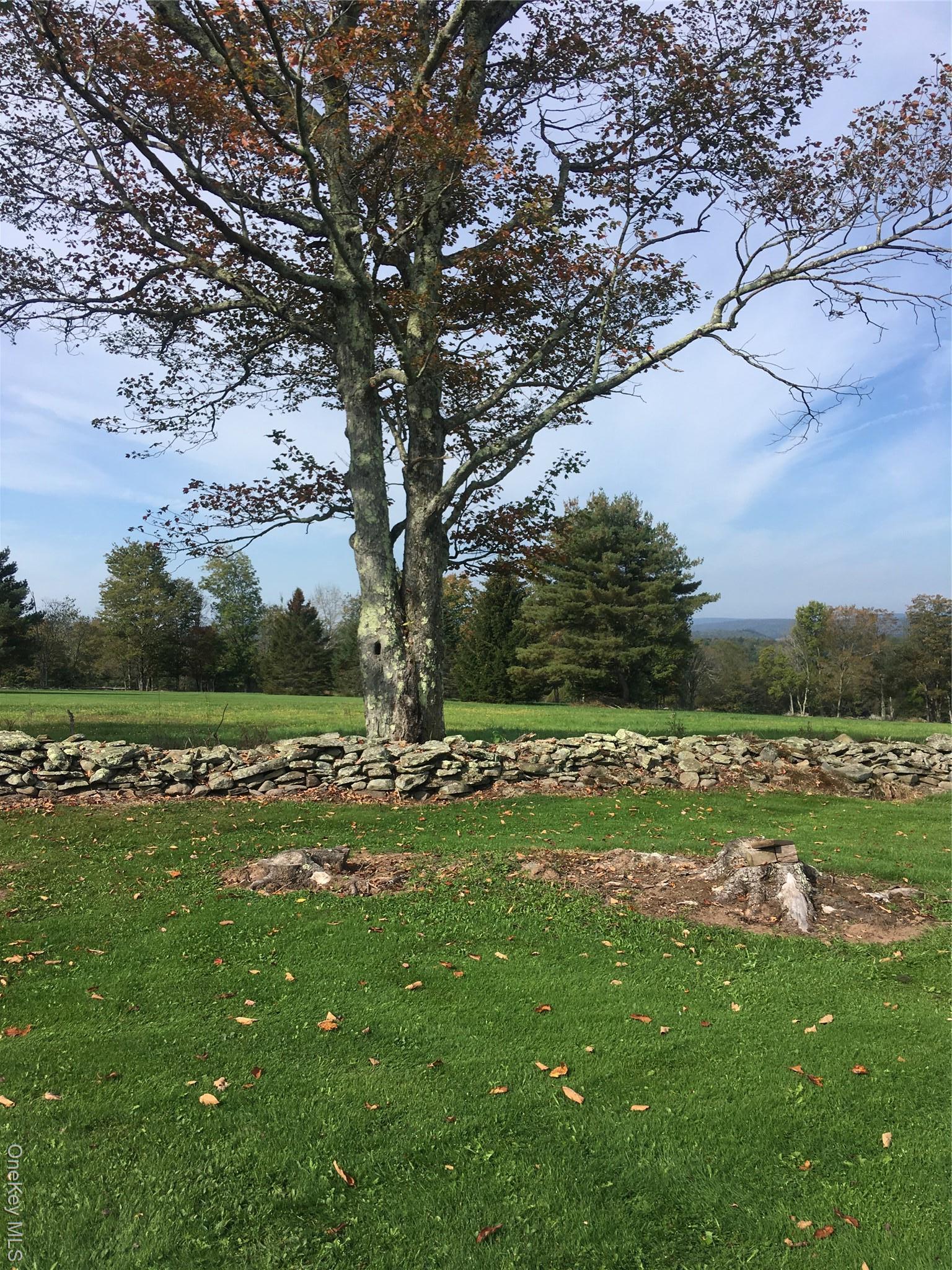 Single Family Rose  Sullivan County, NY 12788, MLS-948588-45