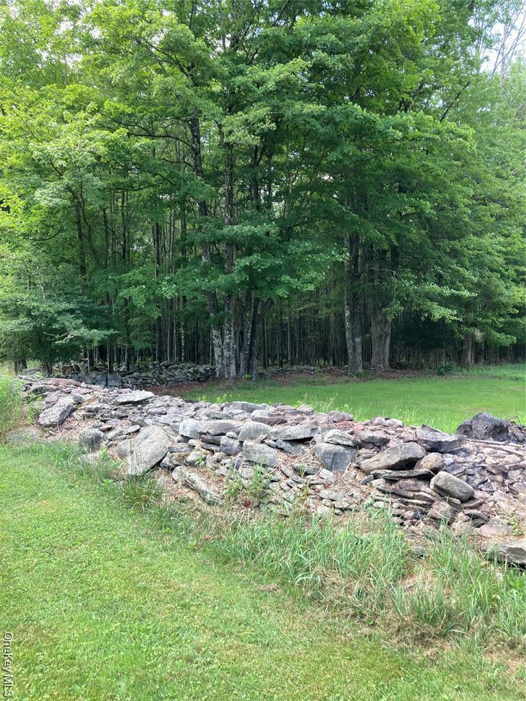 Single Family Rose  Sullivan County, NY 12788, MLS-948588-46