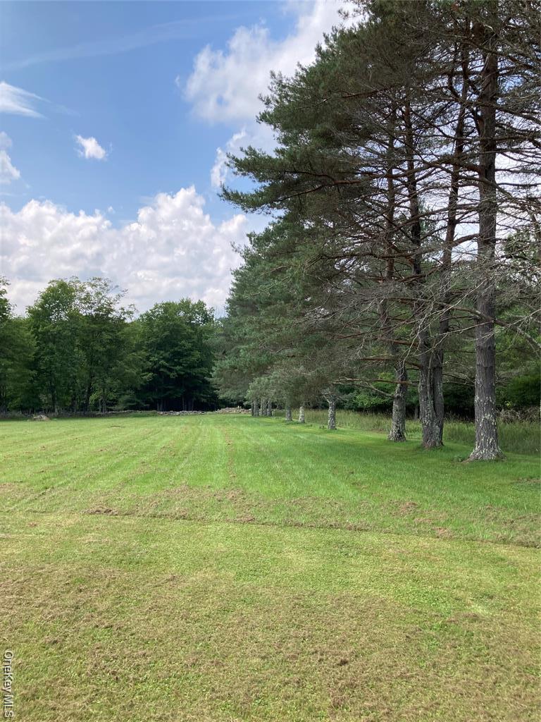 Single Family Rose  Sullivan County, NY 12788, MLS-948588-47