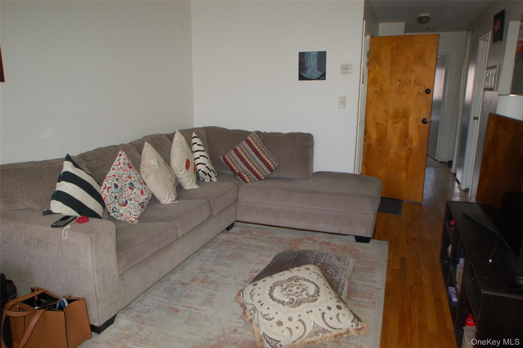 Single Family 138th  Queens, NY 11435, MLS-948691-25