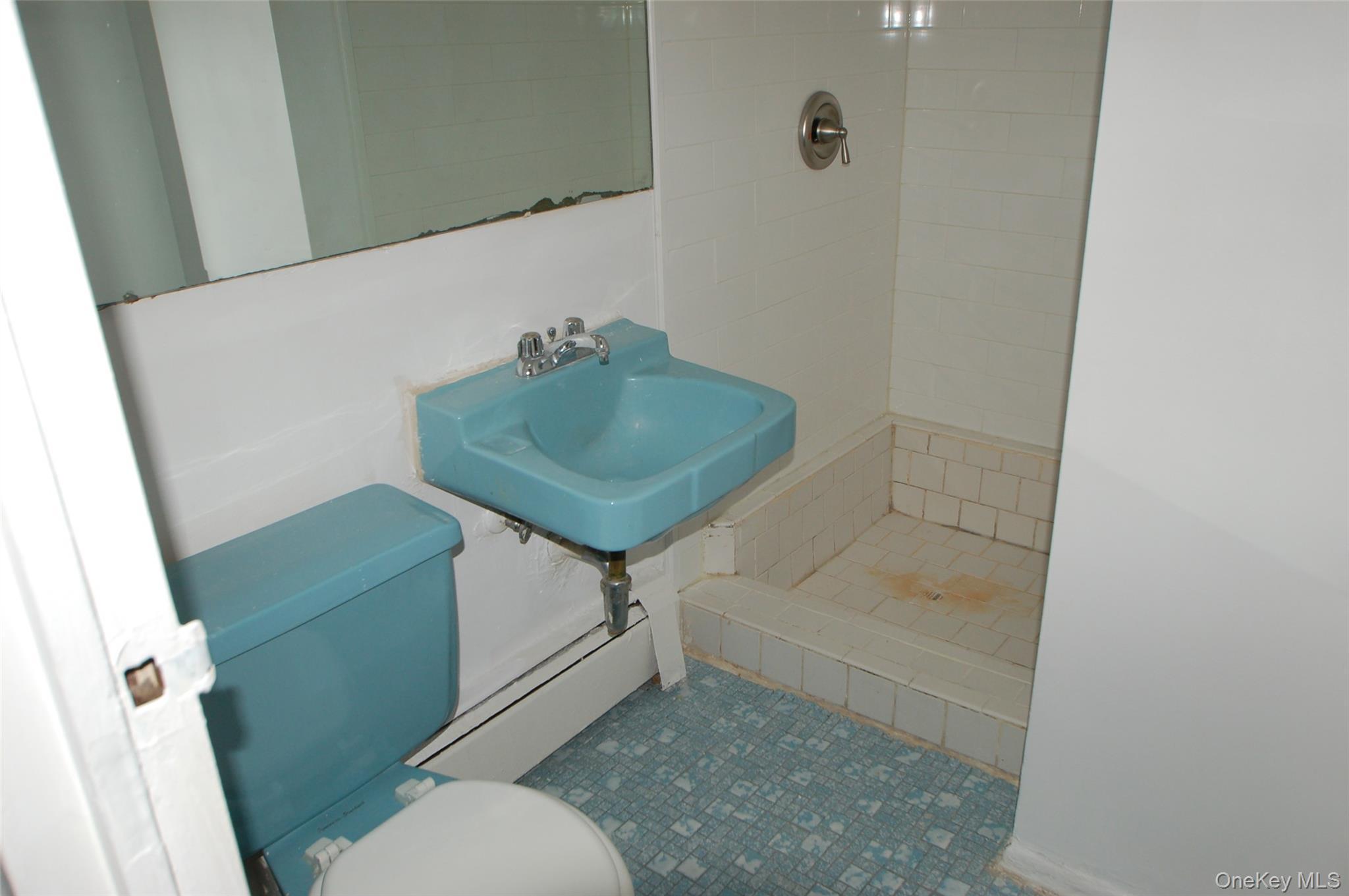 Single Family 138th  Queens, NY 11435, MLS-948691-8