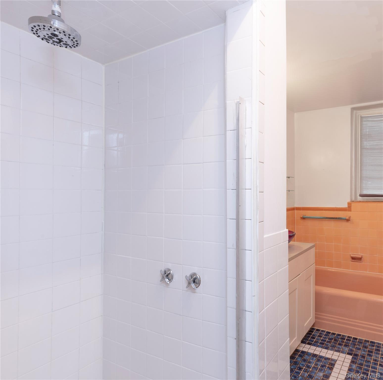 Coop 75th  Queens, NY 11375, MLS-948731-11