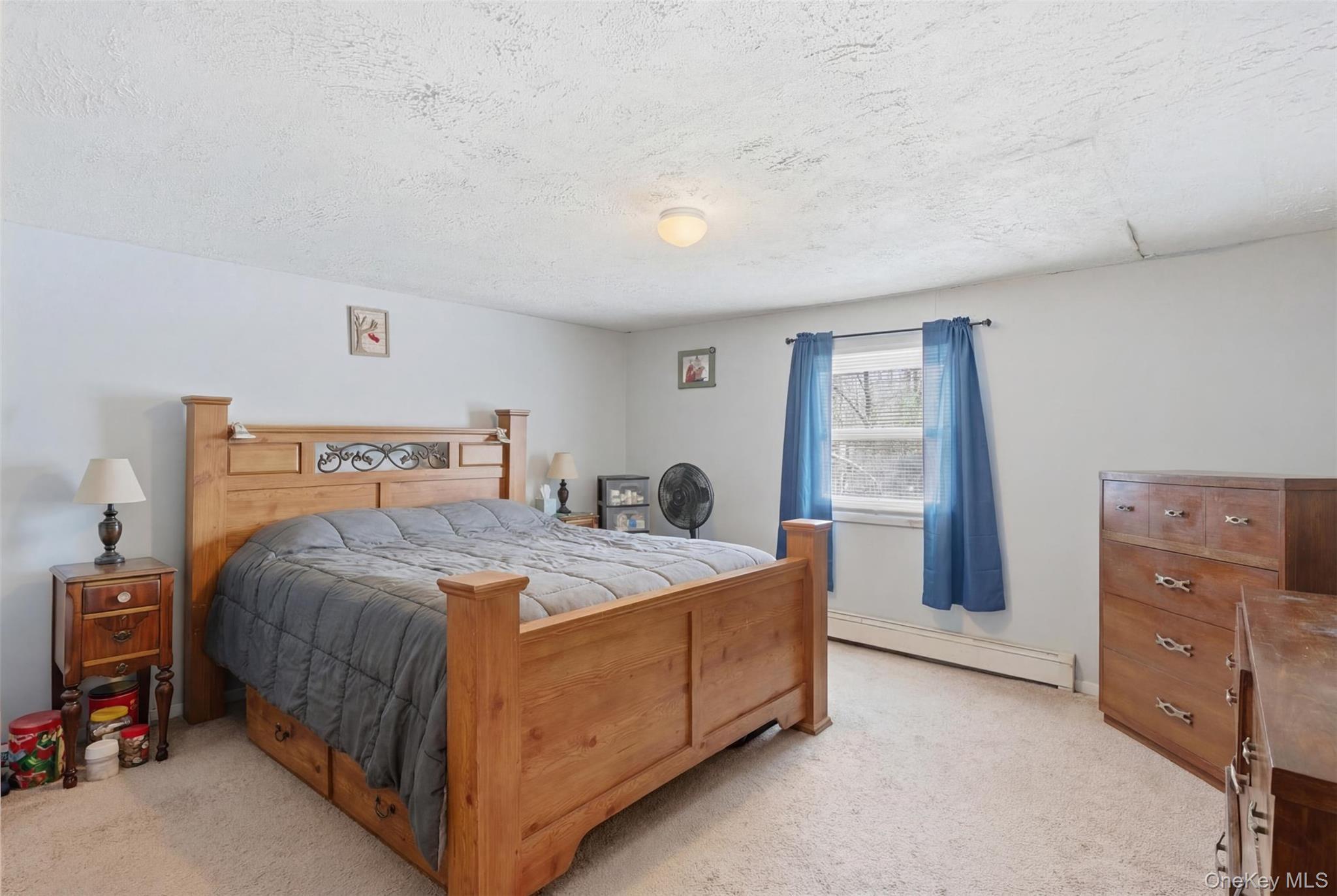 Single Family Route 9g Columbia County, NY 12534, MLS-948769-42