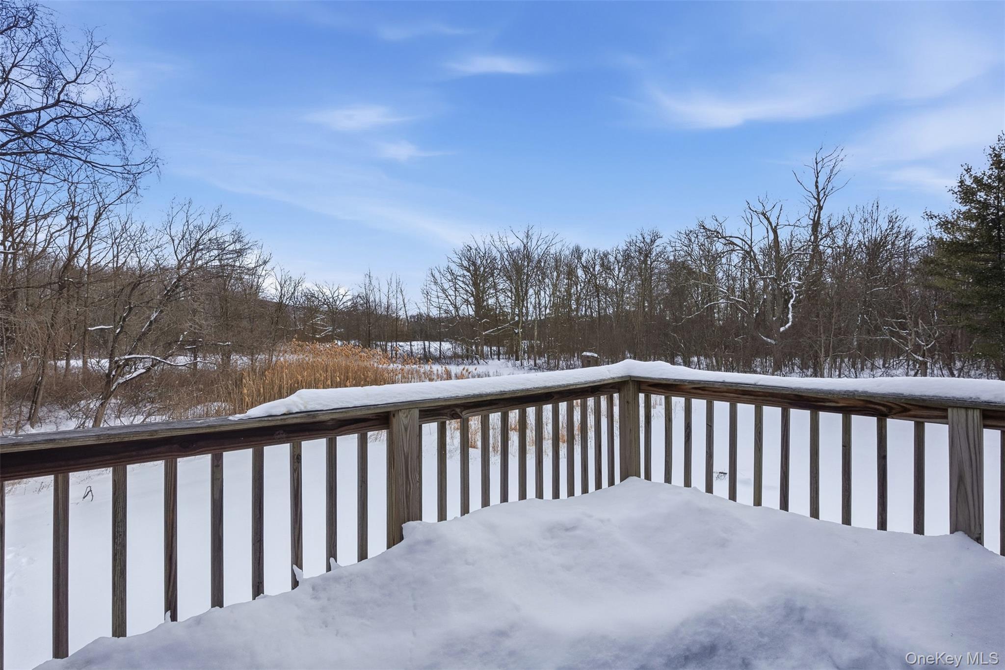 Single Family Route 9g Columbia County, NY 12534, MLS-948769-45