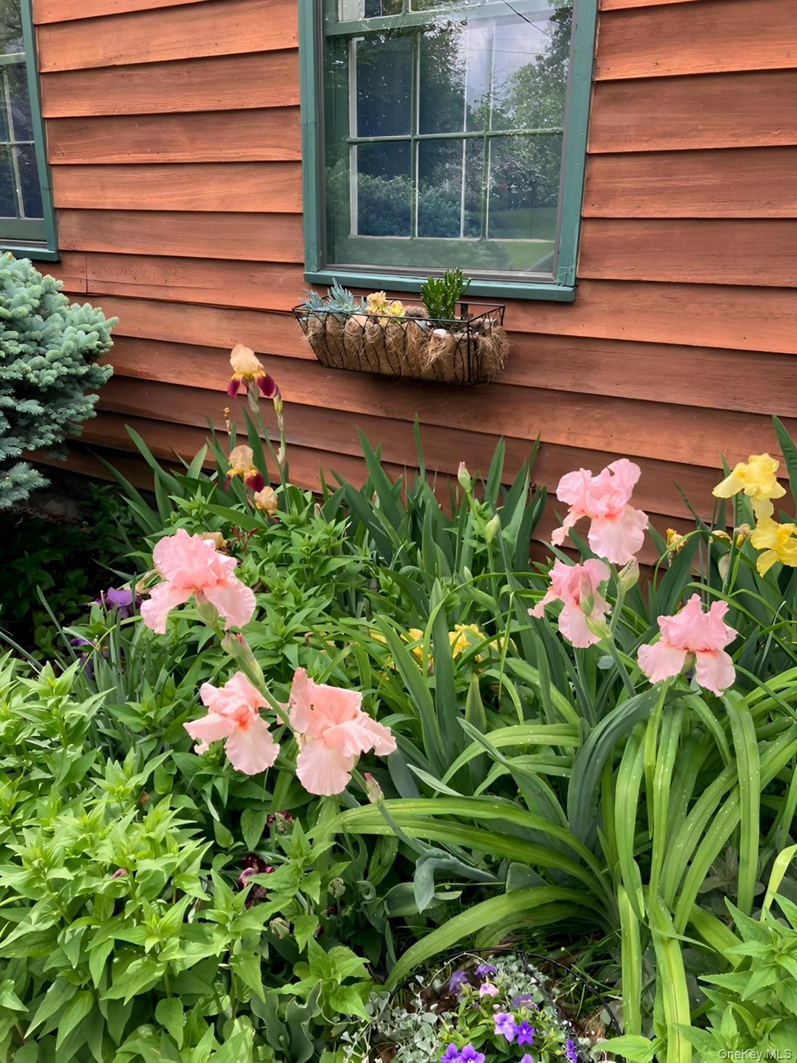 Single Family Union  Orange County, NY 12549, MLS-948942-32