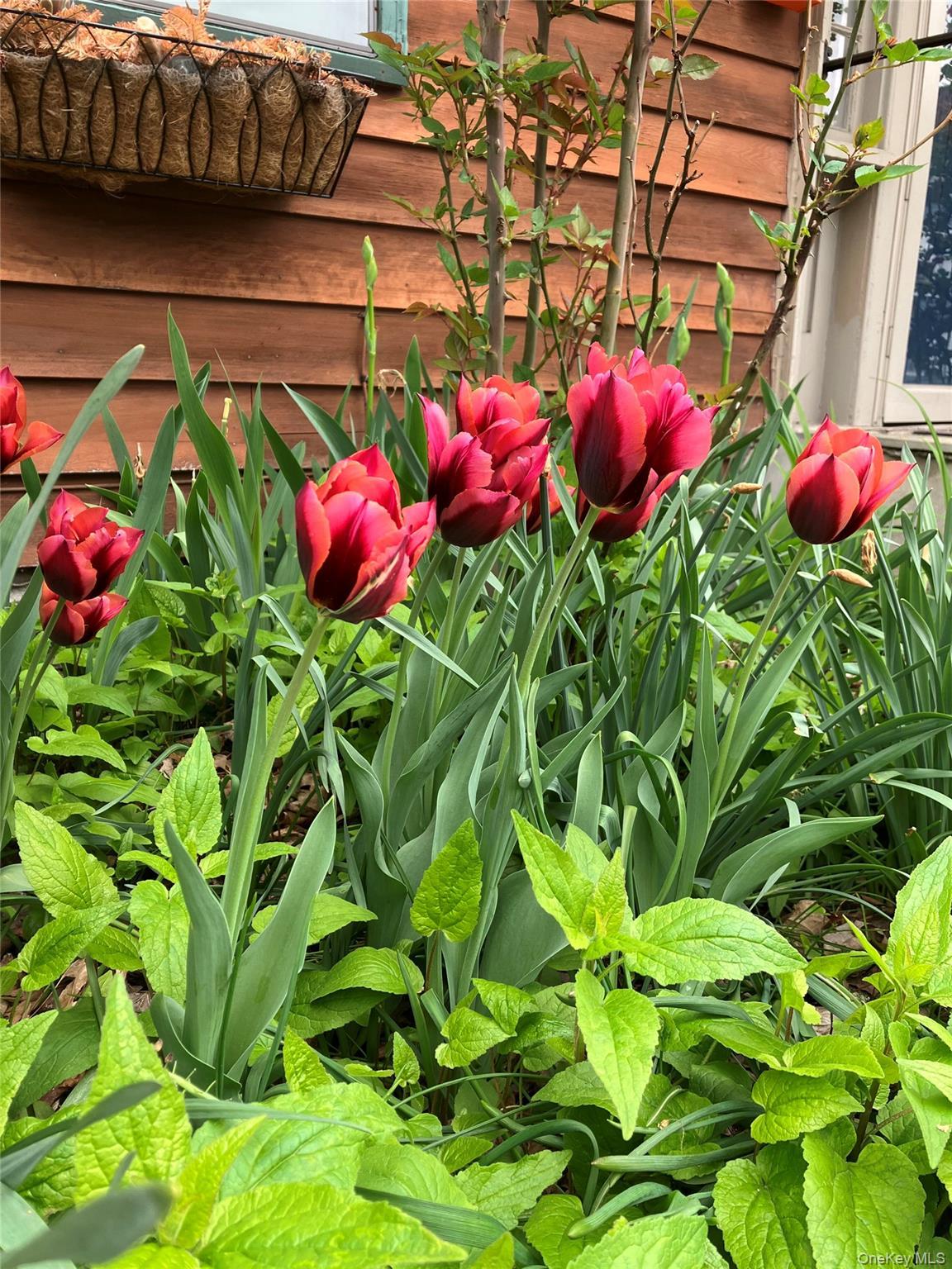 Single Family Union  Orange County, NY 12549, MLS-948942-33