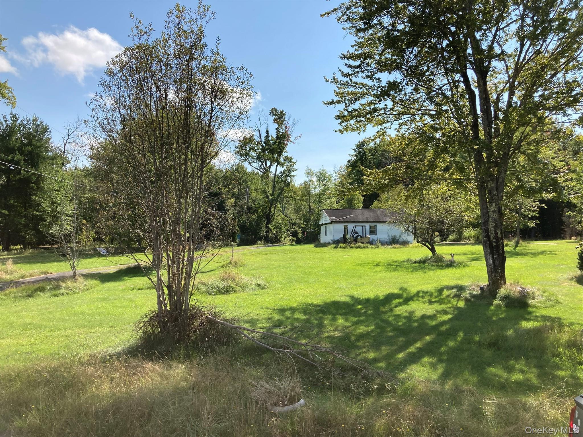 Single Family Budd Road Sullivan County, NY 12788, MLS-948974-17