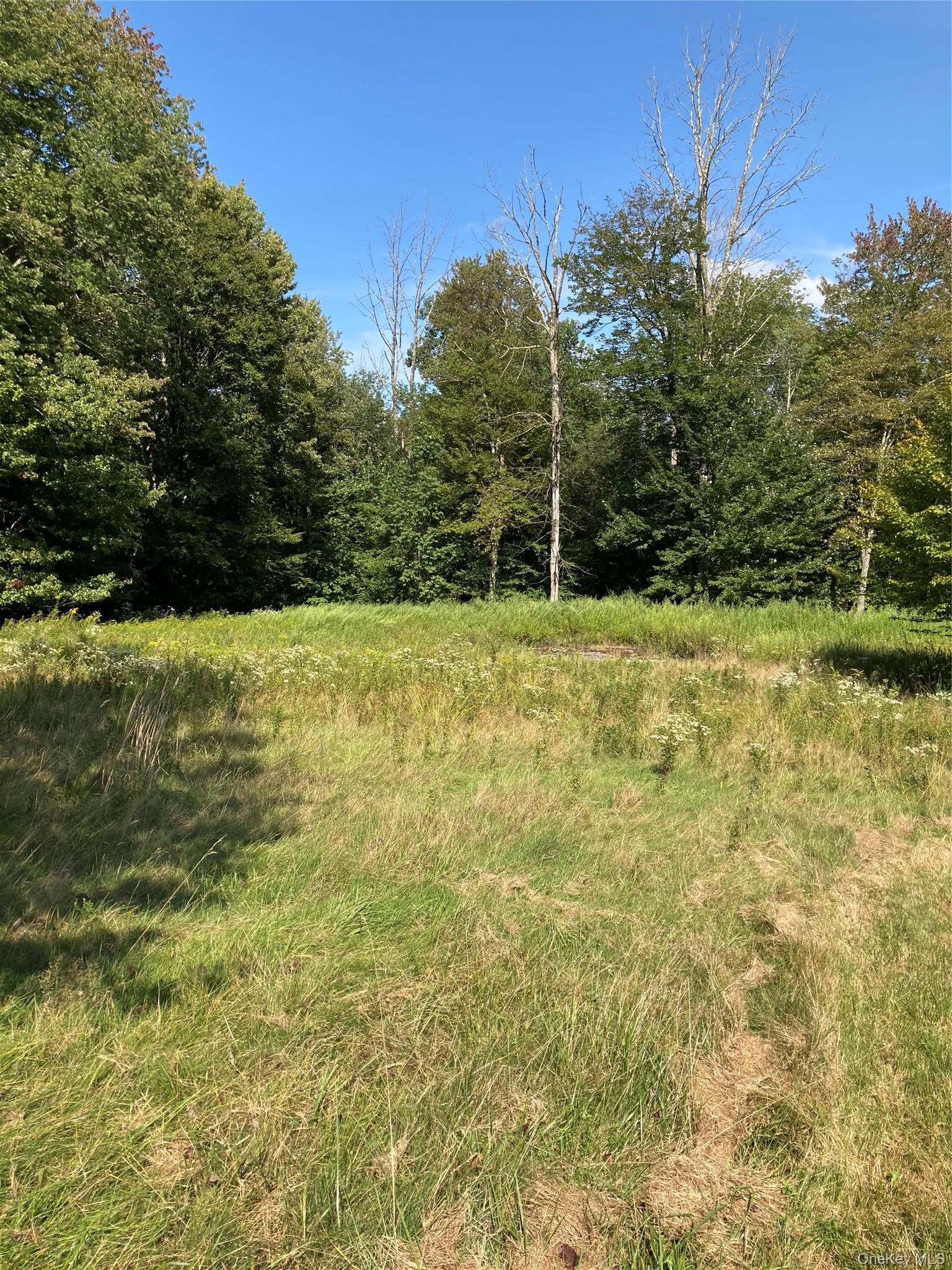 Single Family Budd Road Sullivan County, NY 12788, MLS-948974-2