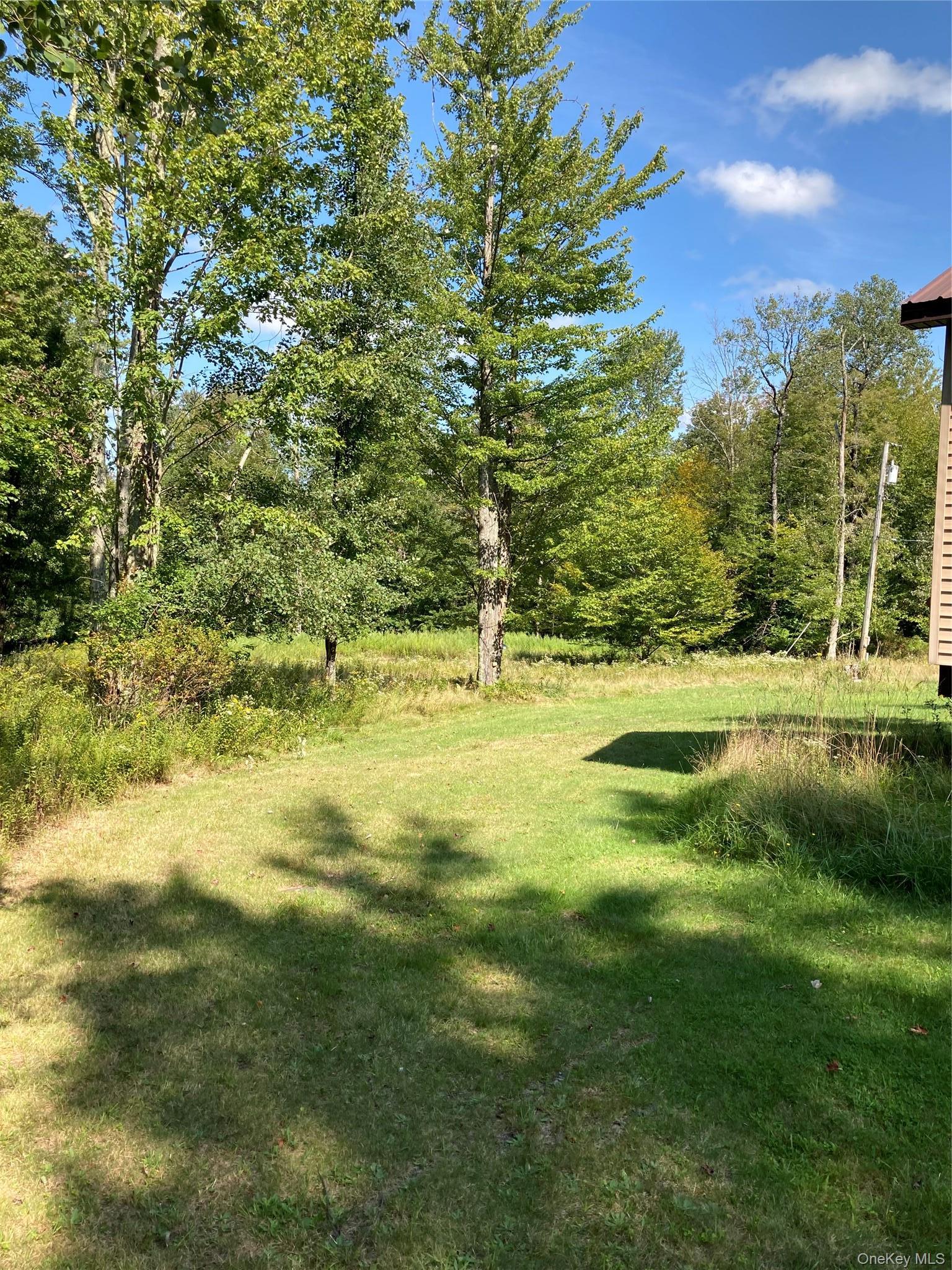 Single Family Budd Road Sullivan County, NY 12788, MLS-948974-21