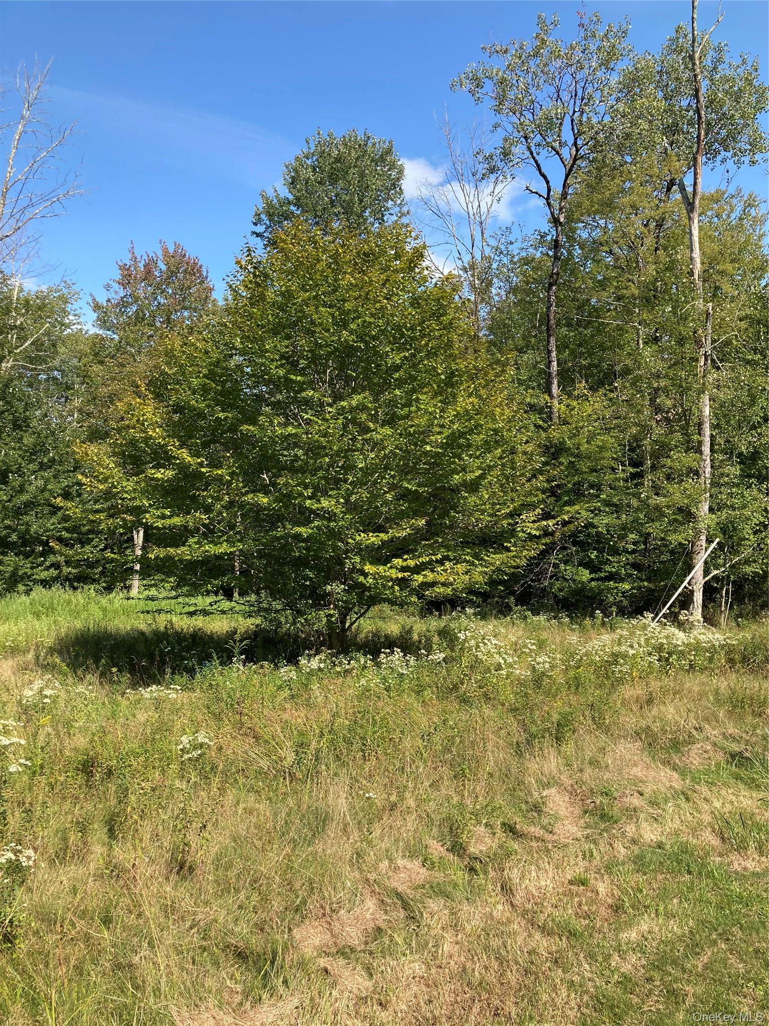Single Family Budd Road Sullivan County, NY 12788, MLS-948974-22