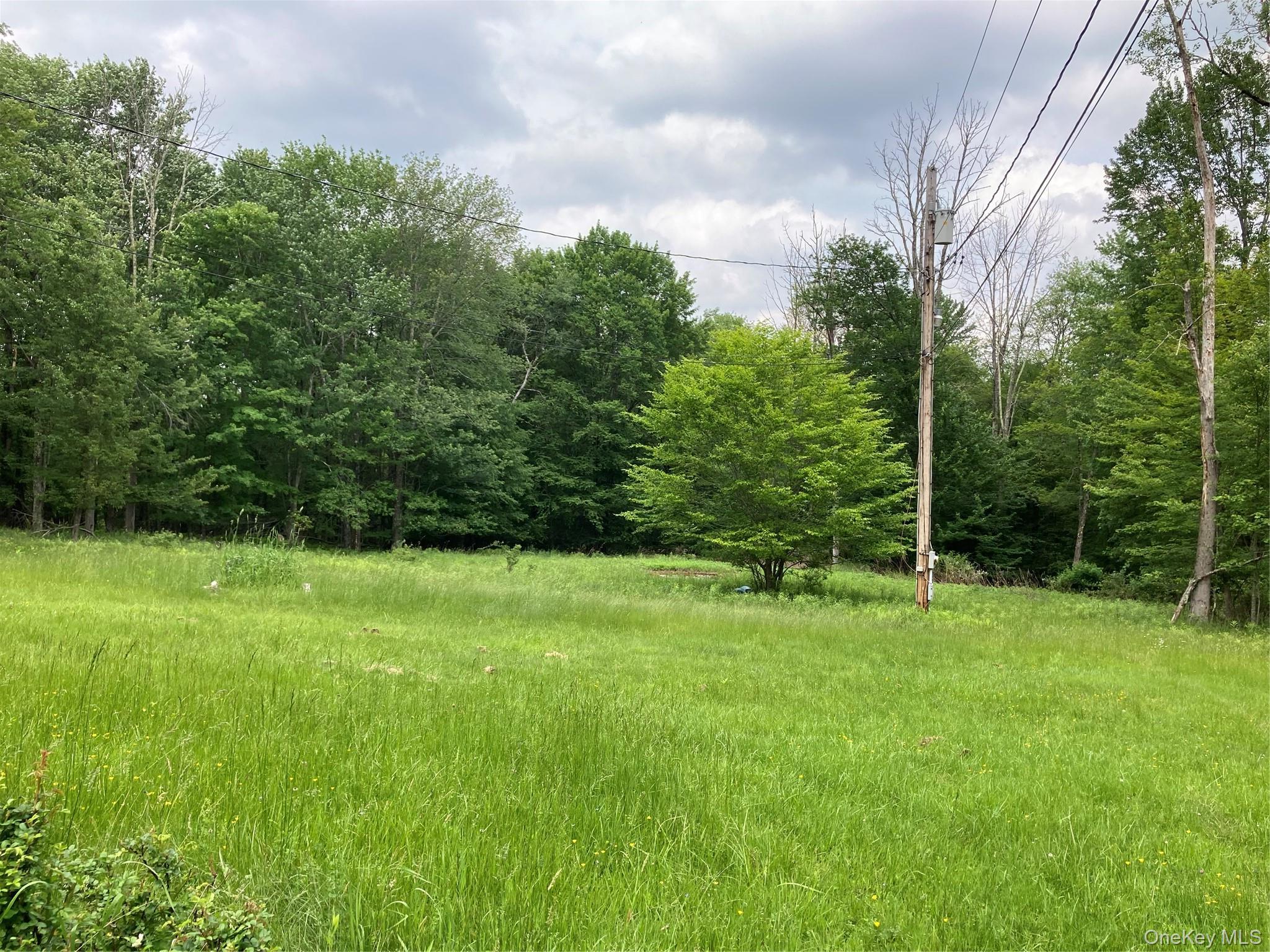 Single Family Budd Road Sullivan County, NY 12788, MLS-948974-4