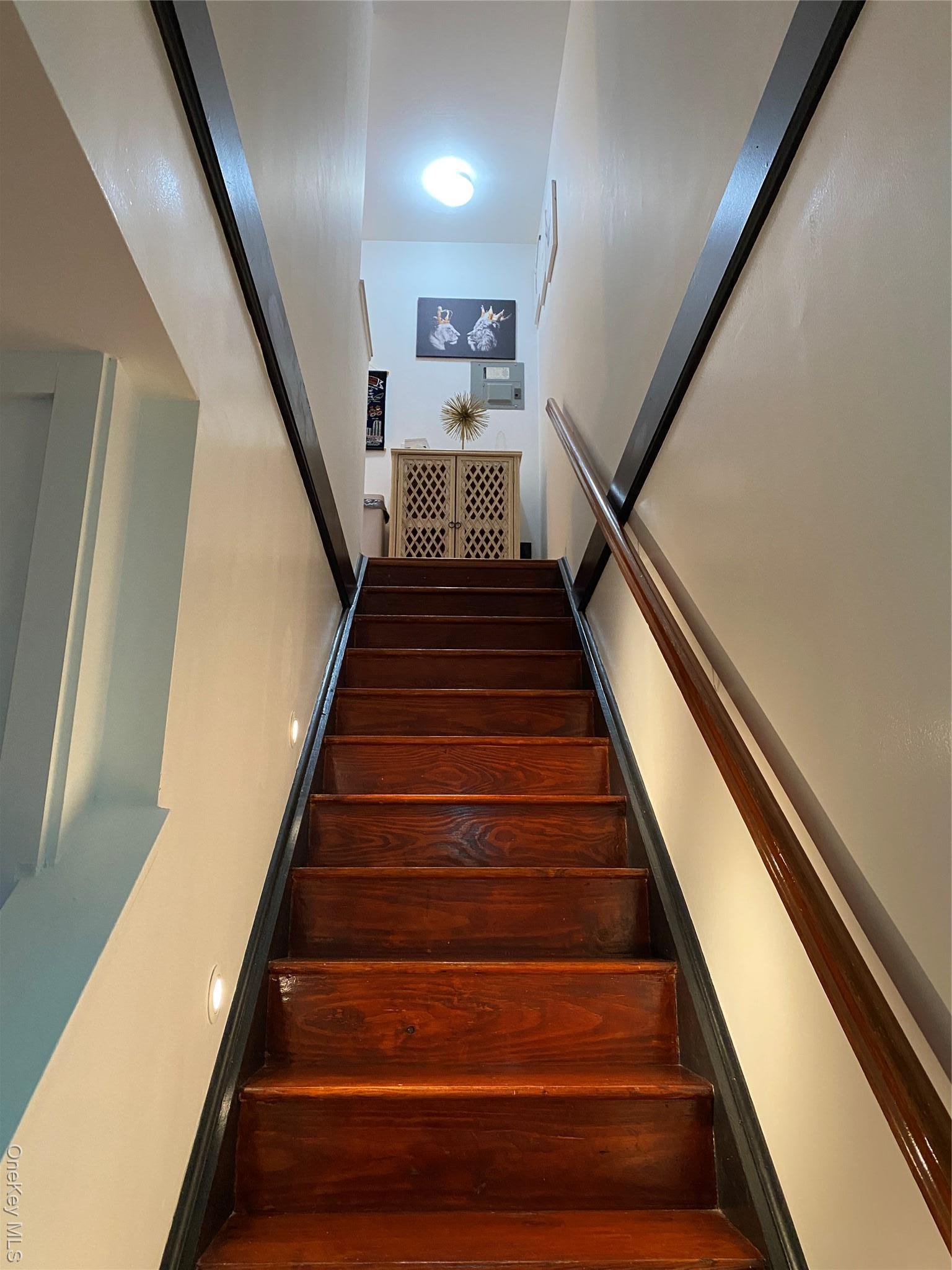 Single Family Williams  Brooklyn, NY 11207, MLS-948984-19