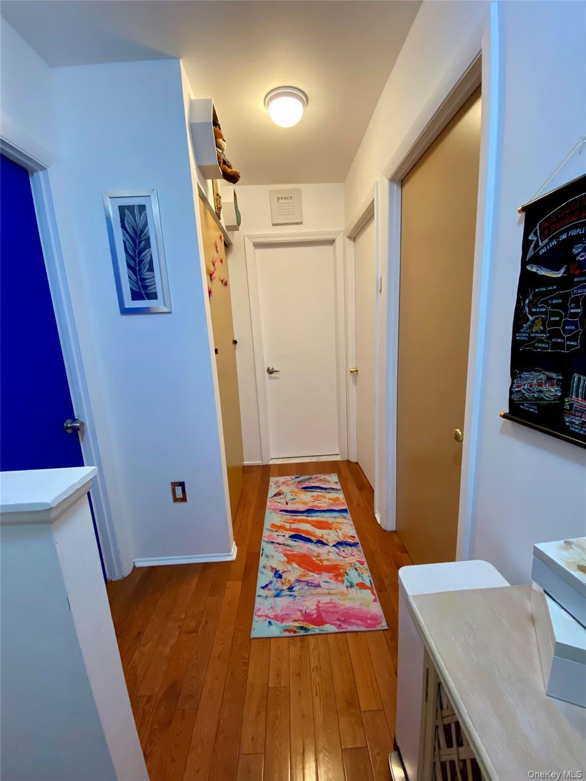 Single Family Williams  Brooklyn, NY 11207, MLS-948984-21