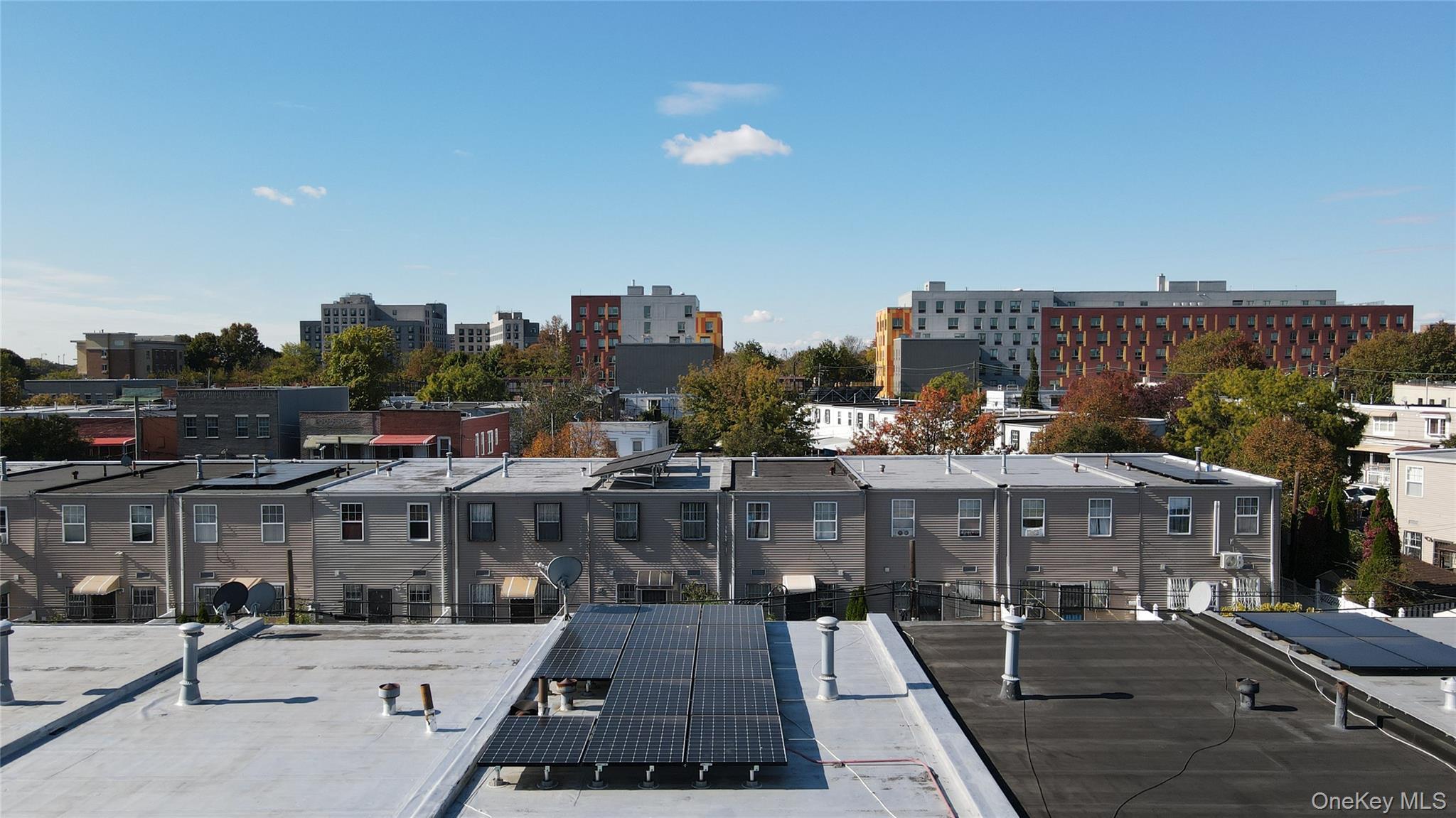 Single Family Williams  Brooklyn, NY 11207, MLS-948984-4