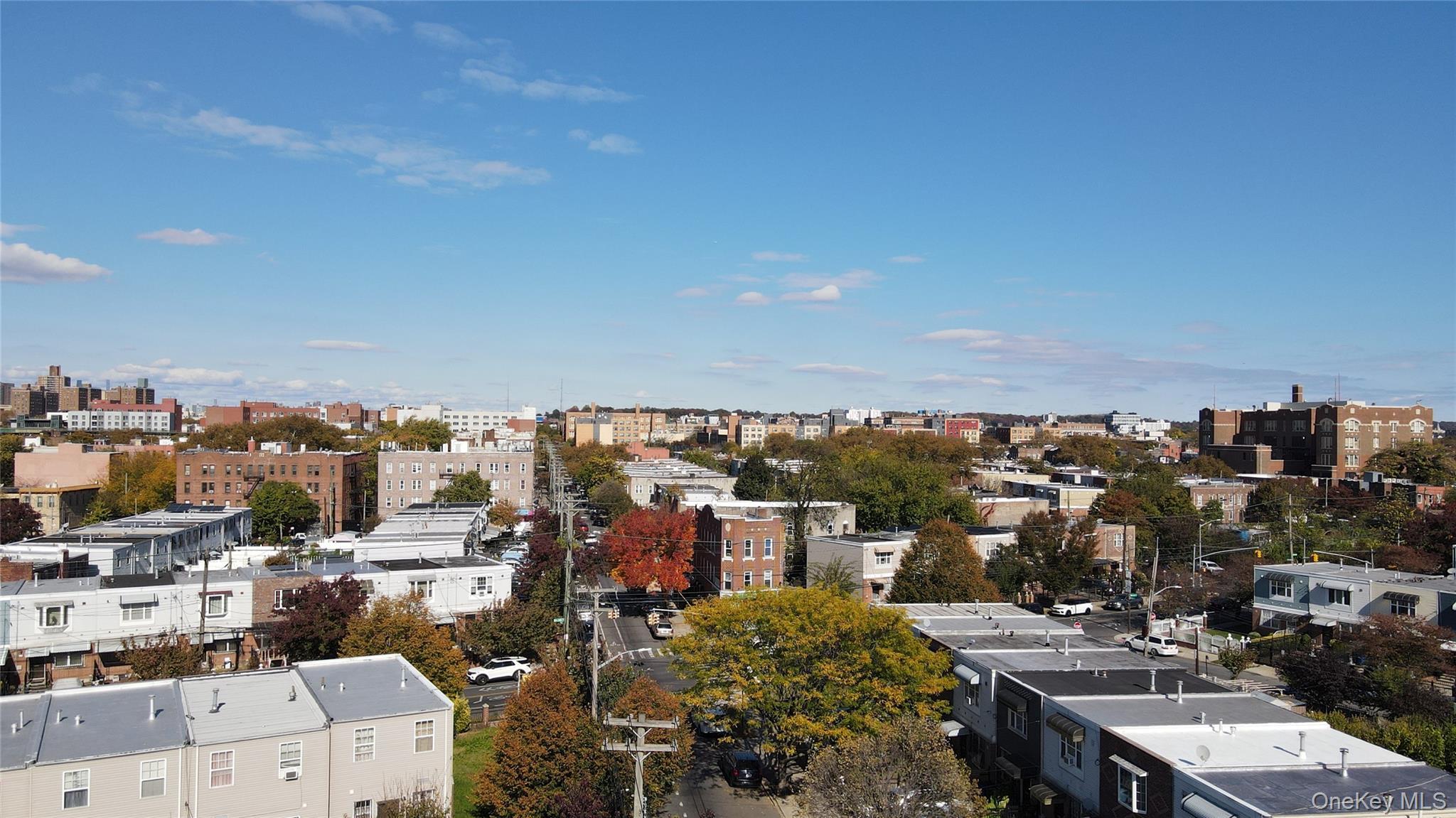 Single Family Williams  Brooklyn, NY 11207, MLS-948984-48