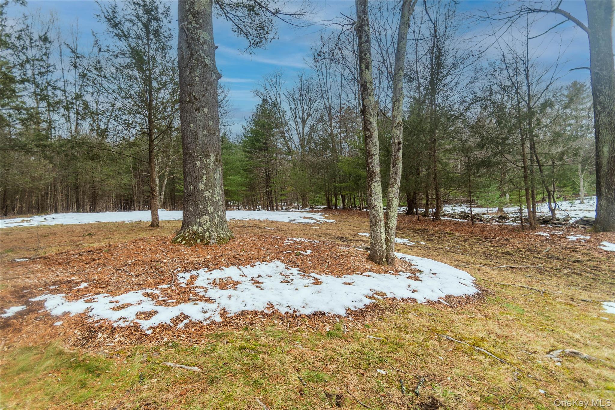 Single Family Mill Ulster County, NY 12461, MLS-949005-7