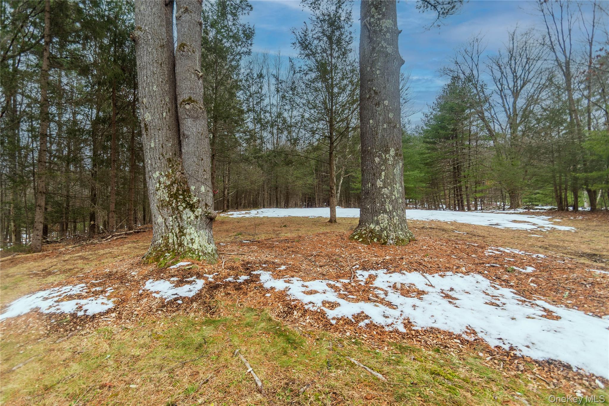 Single Family Mill Ulster County, NY 12461, MLS-949005-8