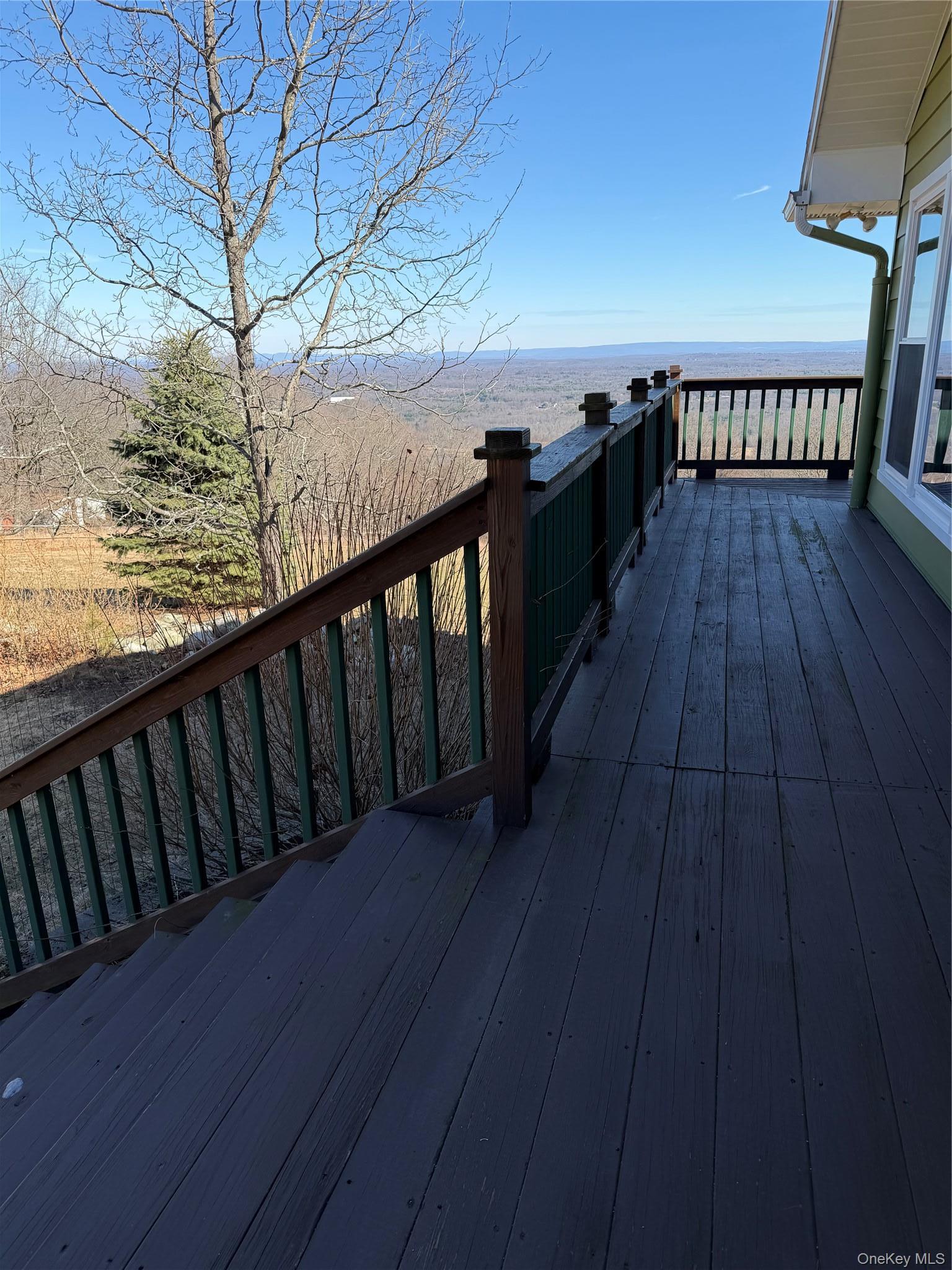 Single Family Mountain Road Sullivan County, NY 12721, MLS-949204-5