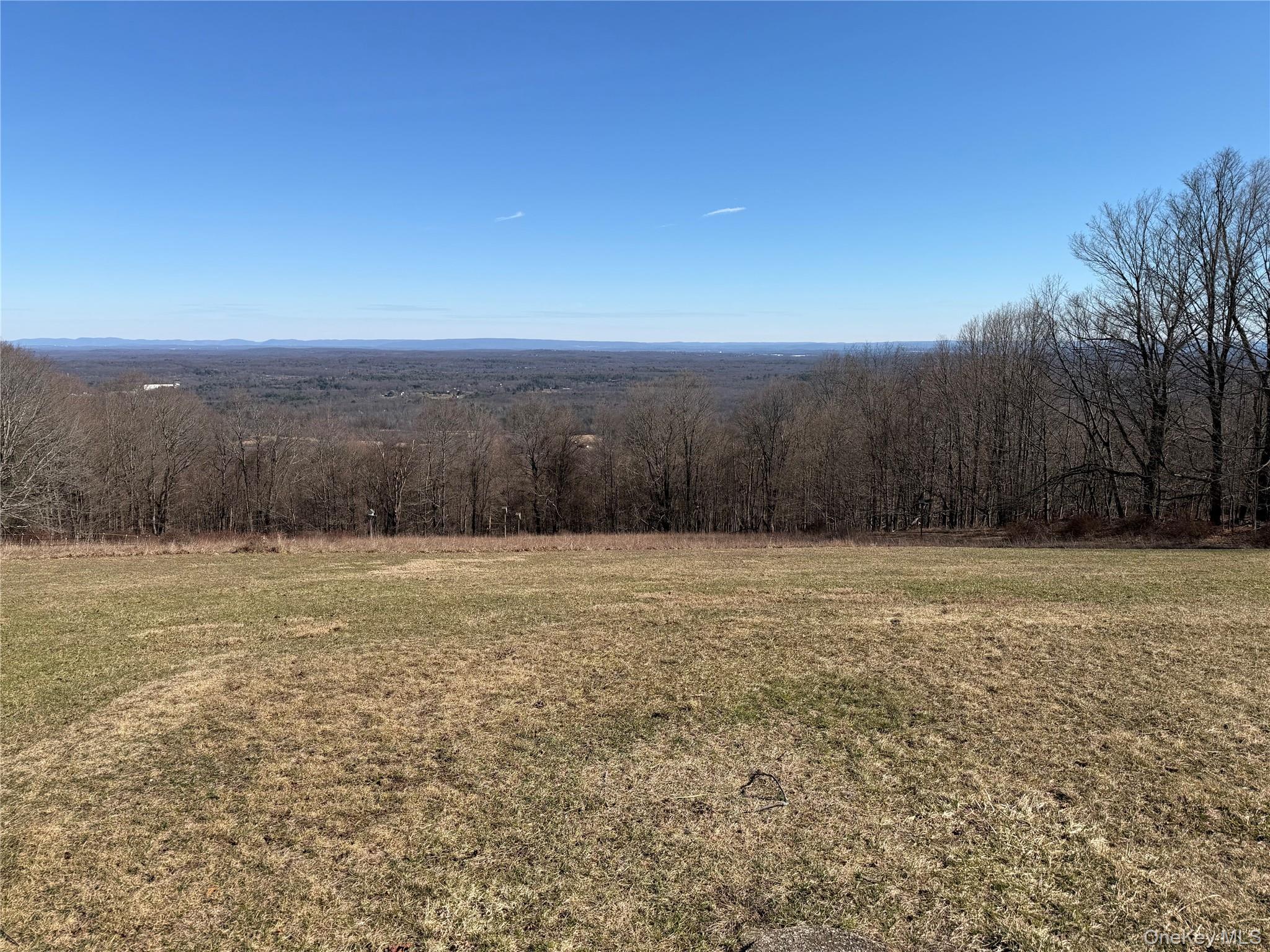 Single Family Mountain Road Sullivan County, NY 12721, MLS-949204-7