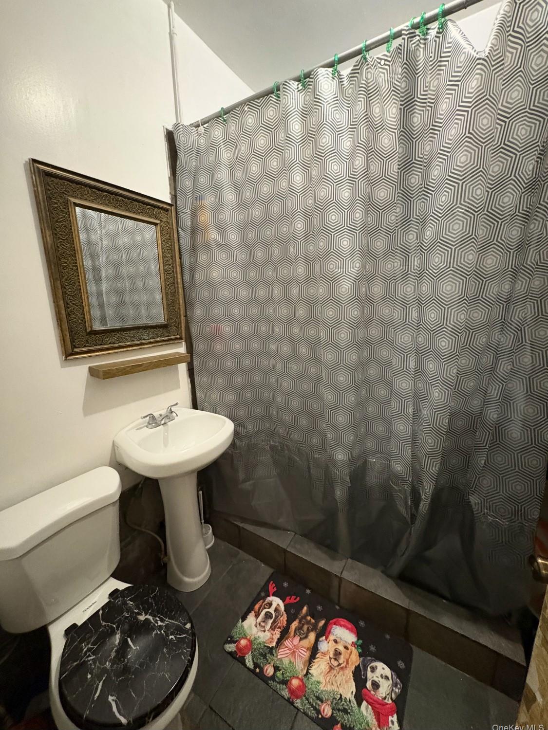 Single Family Zerega  Bronx, NY 10462, MLS-949250-14