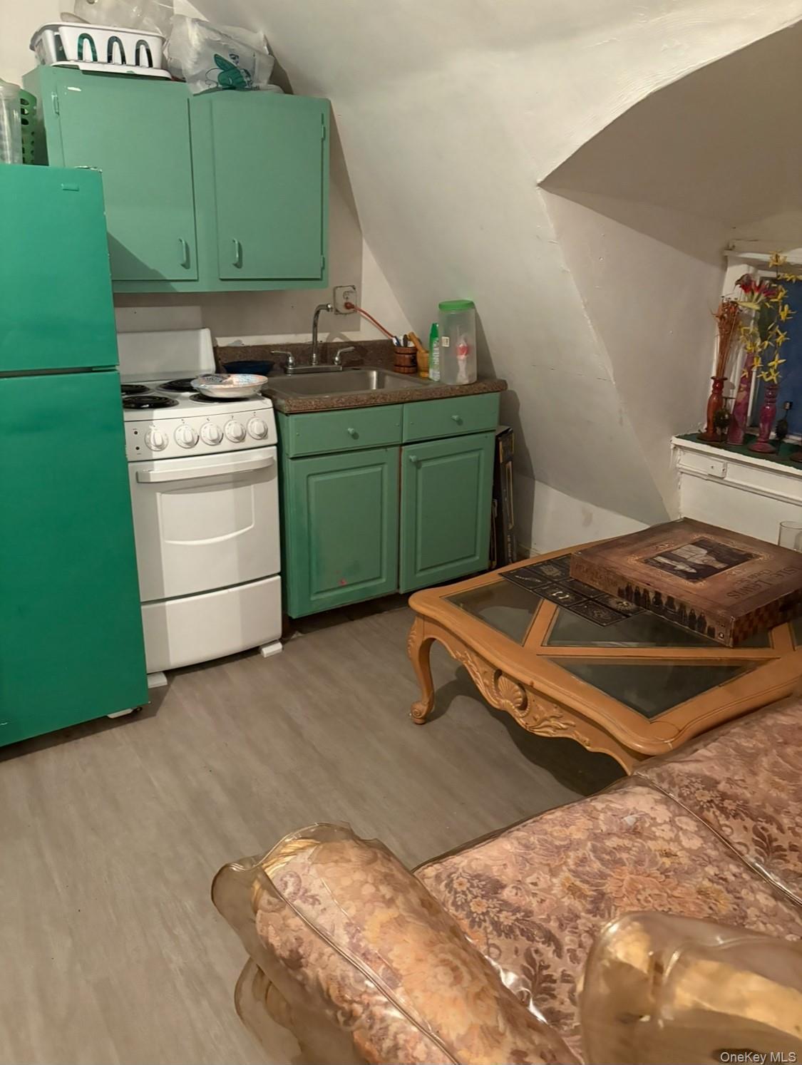 Single Family Zerega  Bronx, NY 10462, MLS-949250-19