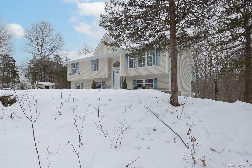 Single Family Twin Arch  Orange County, NY 12575, MLS-949259-2