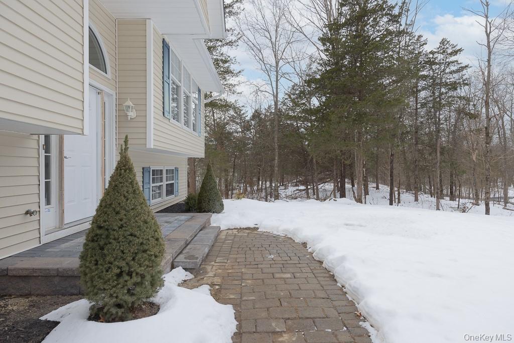 Single Family Twin Arch  Orange County, NY 12575, MLS-949259-4