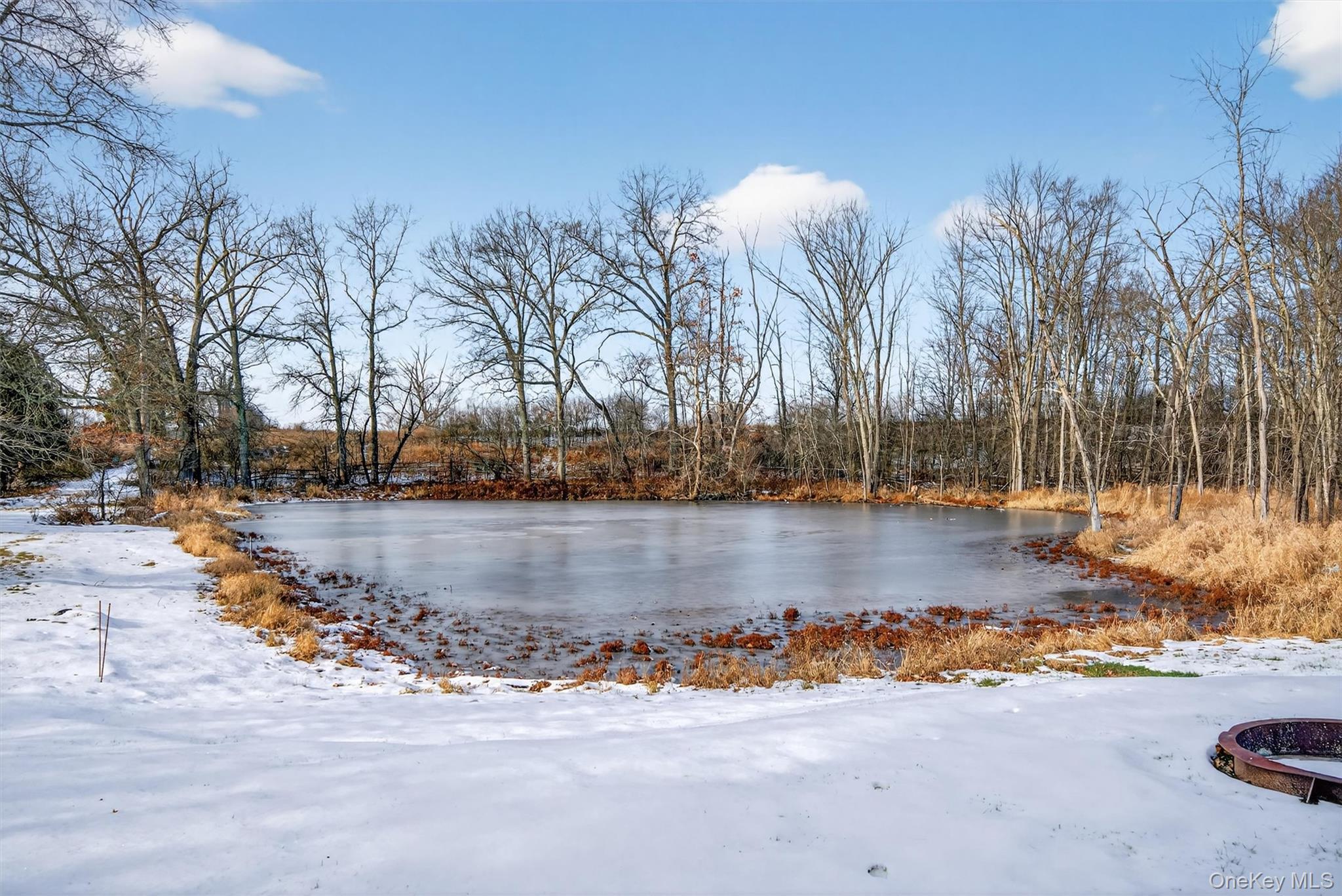 Single Family Strasser  Orange County, NY 10916, MLS-949380-33