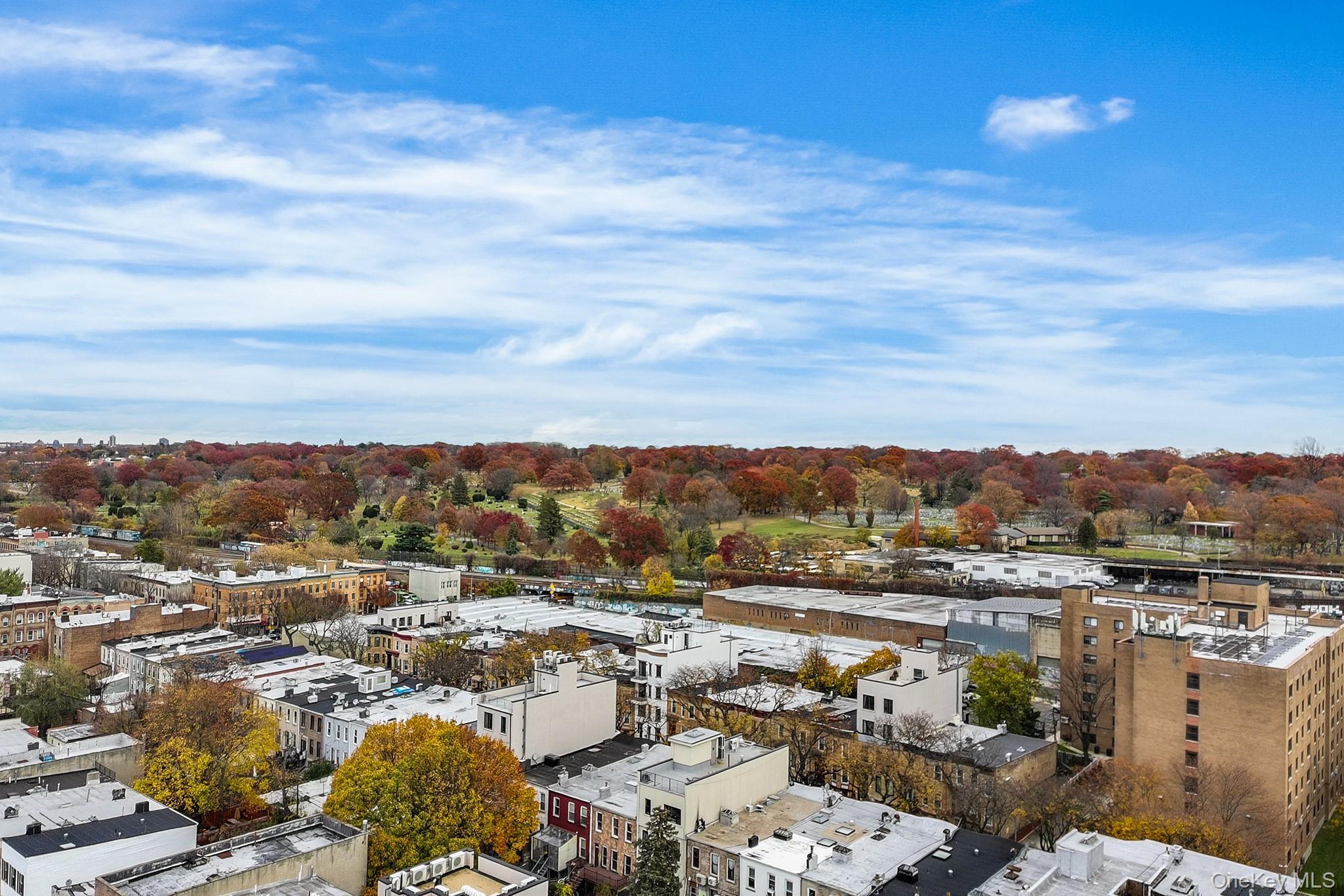 Single Family Evergreen  Brooklyn, NY 11207, MLS-949583-2