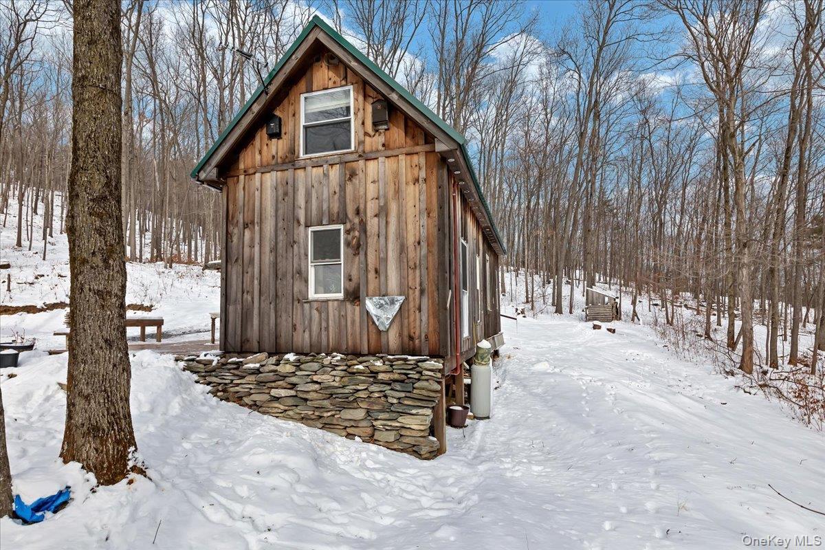 Single Family Breese Hollow  Out Of Area, NY 12090, MLS-949593-29