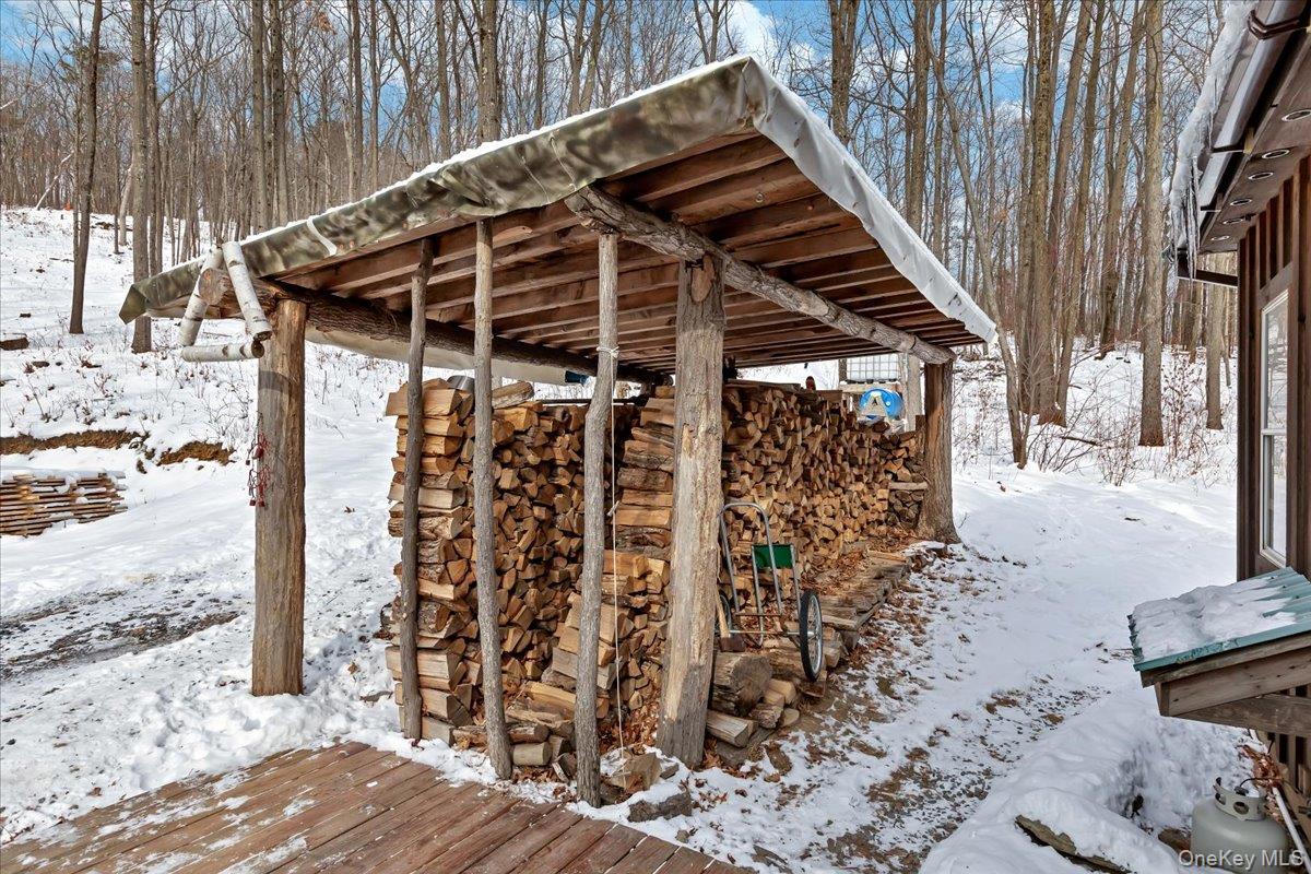 Single Family Breese Hollow  Out Of Area, NY 12090, MLS-949593-30