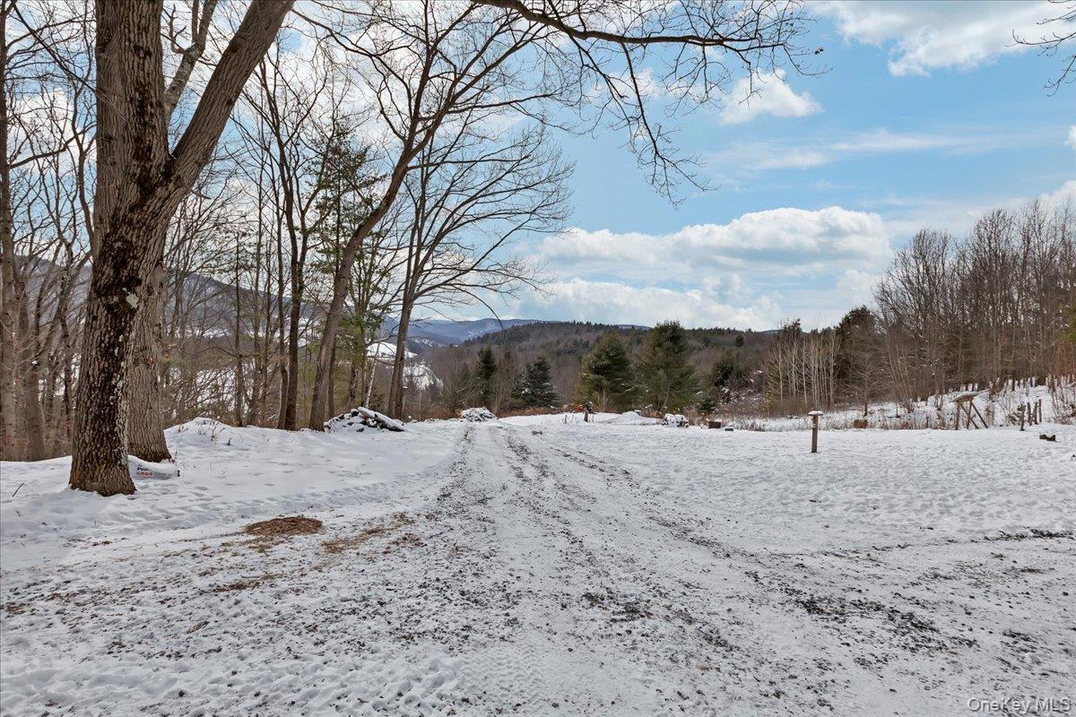 Single Family Breese Hollow  Out Of Area, NY 12090, MLS-949593-31