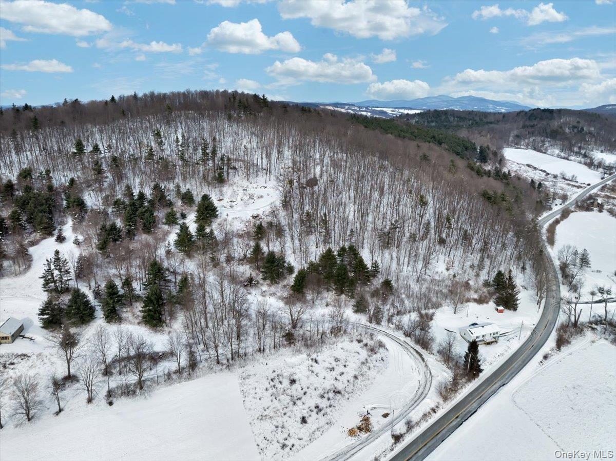 Single Family Breese Hollow  Out Of Area, NY 12090, MLS-949593-32