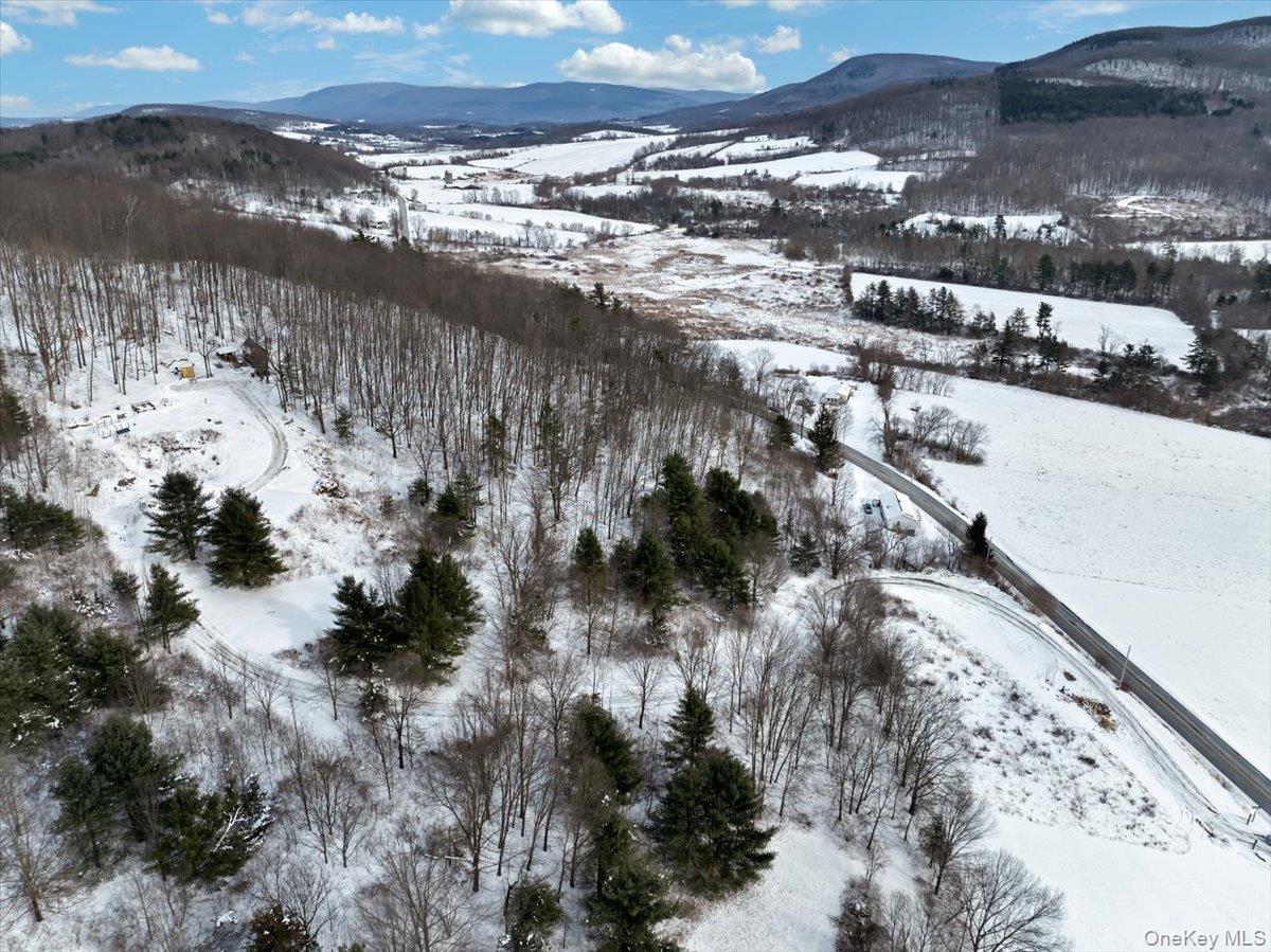 Single Family Breese Hollow  Out Of Area, NY 12090, MLS-949593-33