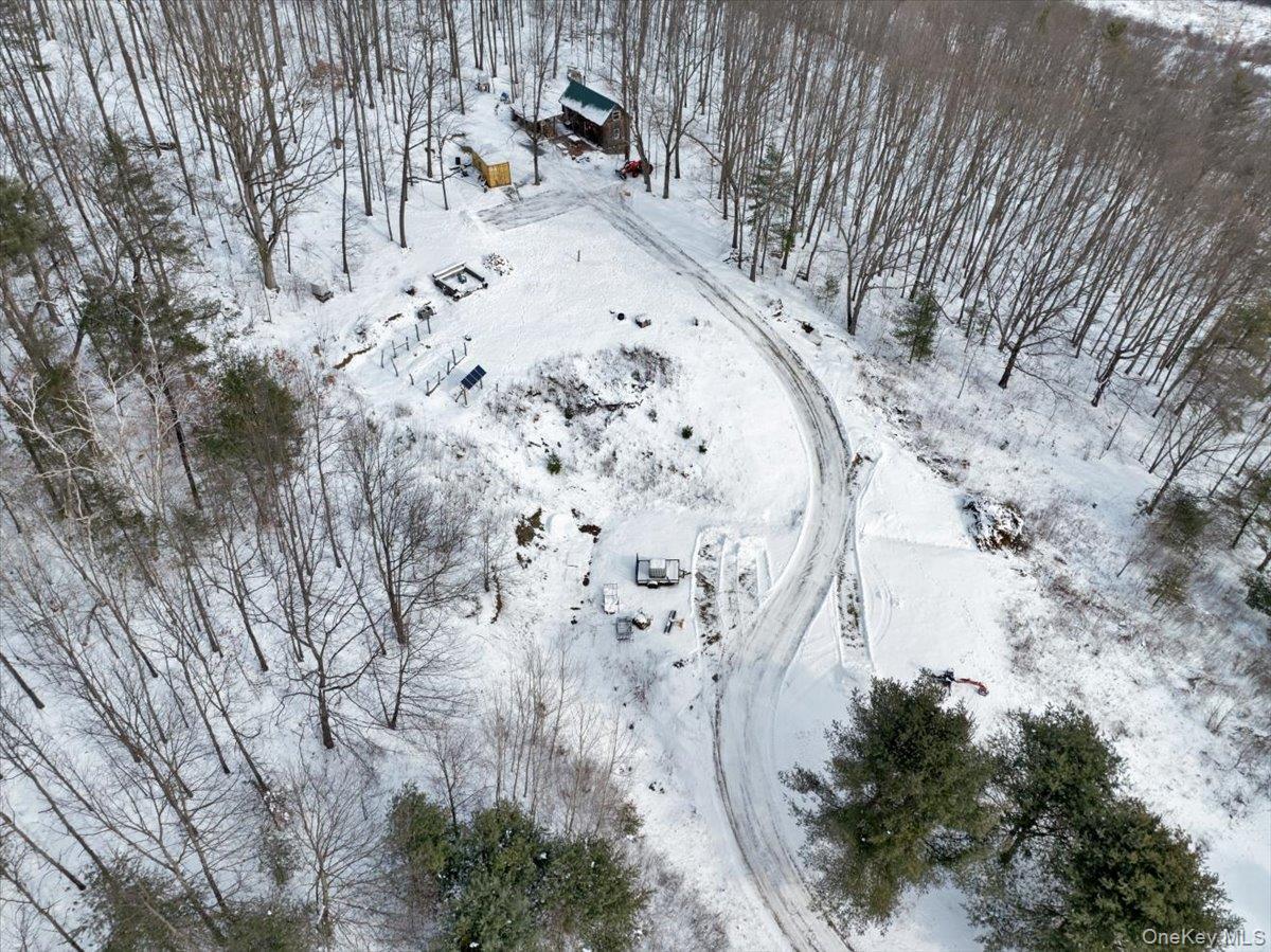 Single Family Breese Hollow  Out Of Area, NY 12090, MLS-949593-34