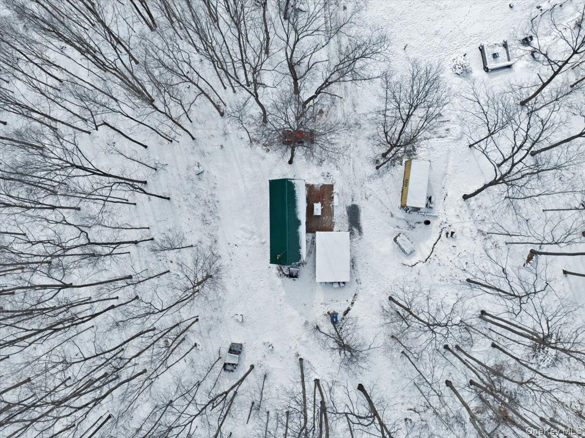 Single Family Breese Hollow  Out Of Area, NY 12090, MLS-949593-37