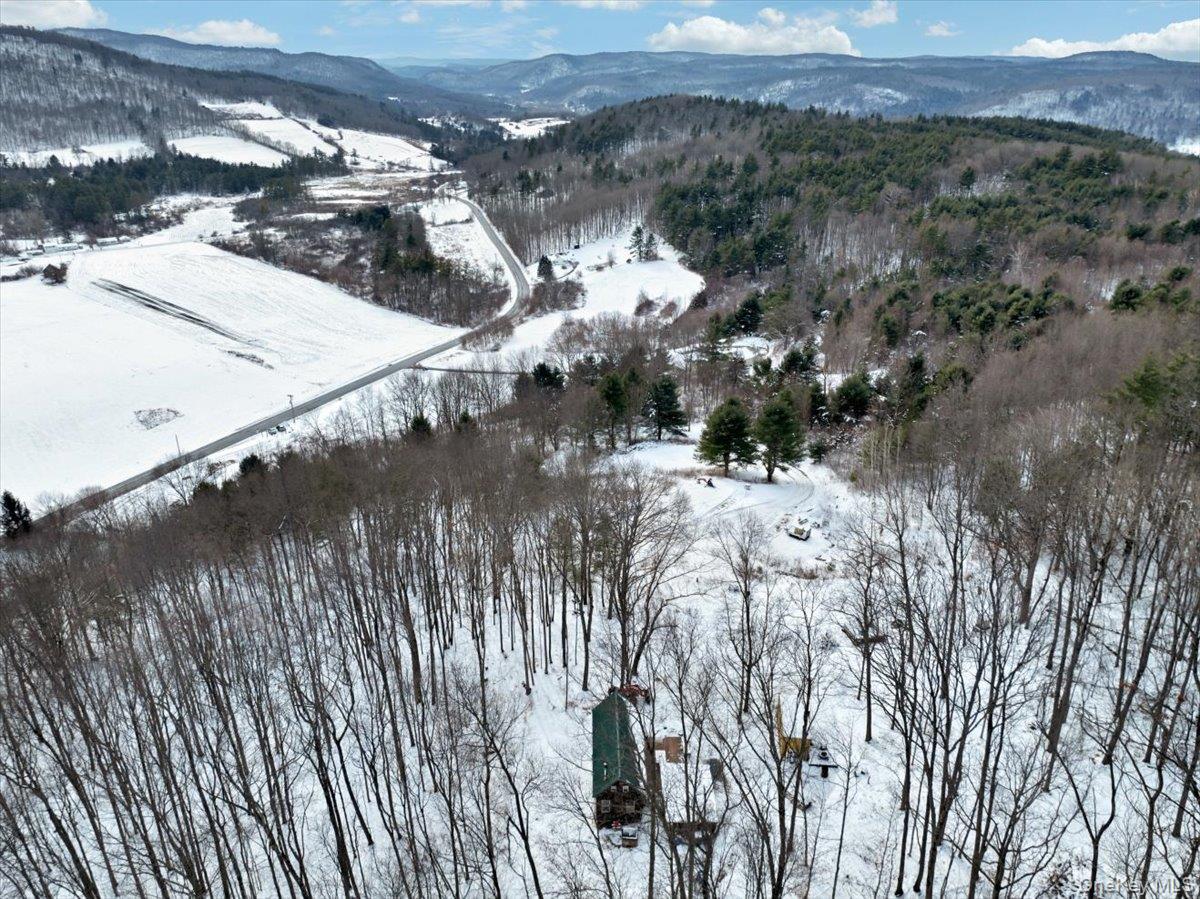 Single Family Breese Hollow  Out Of Area, NY 12090, MLS-949593-38