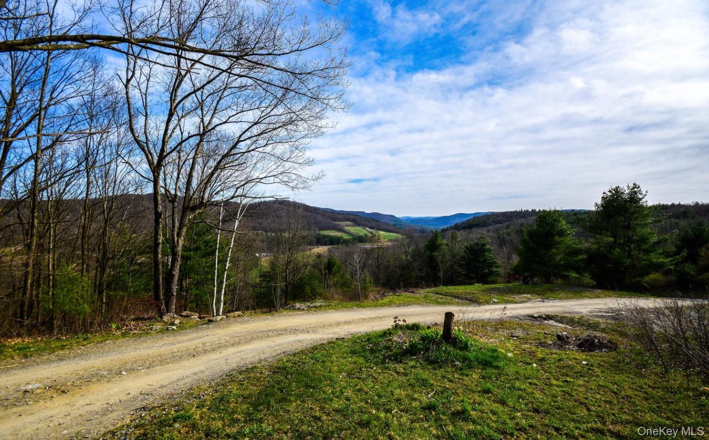 Single Family Breese Hollow  Out Of Area, NY 12090, MLS-949593-39