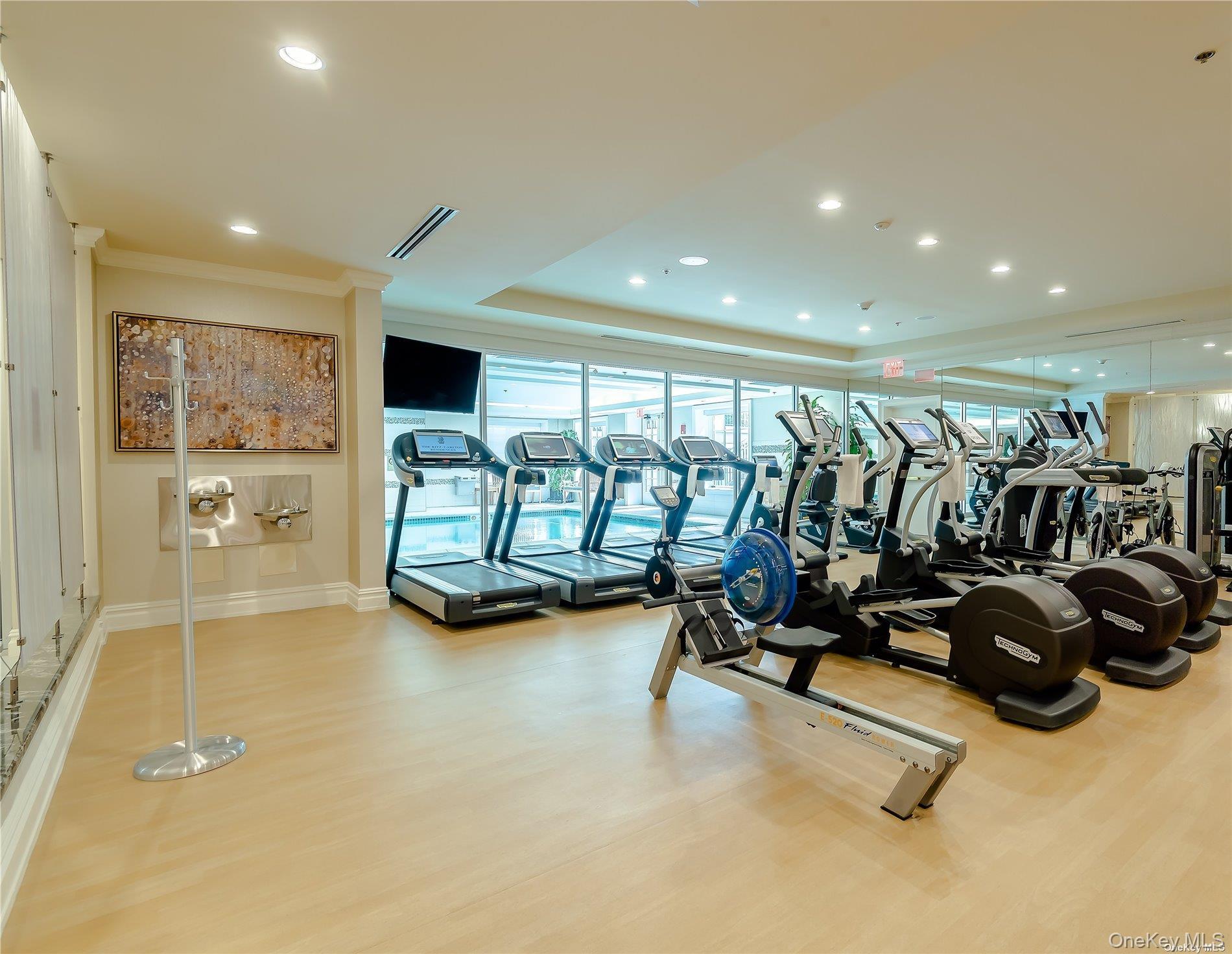 Condo Royal  Nassau County, NY 11040, MLS-949598-17