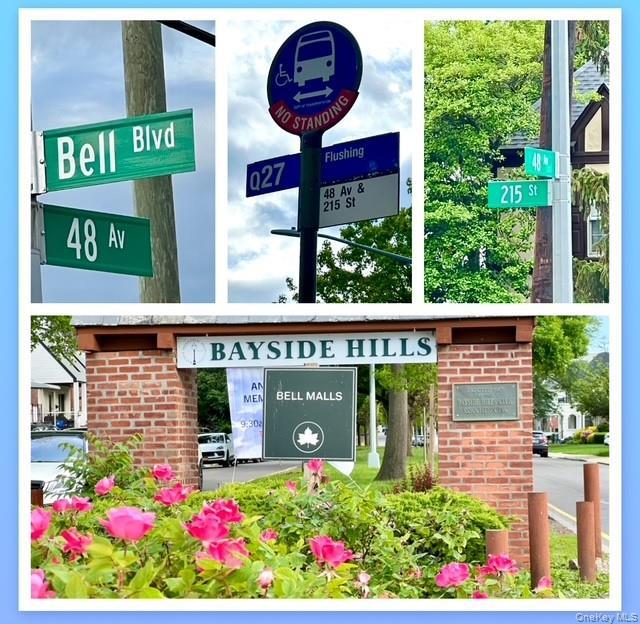 Coop 47th  Queens, NY 11361, MLS-949643-25