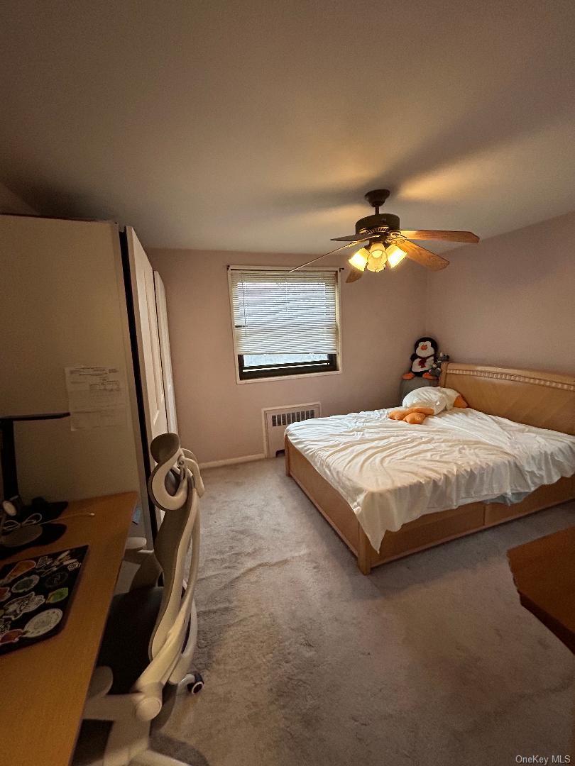 Coop Cross Island Parkway Queens, NY 11357, MLS-949772-34