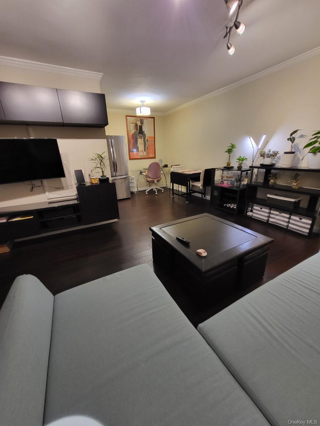 Coop 166th  Queens, NY 11357, MLS-950081-11